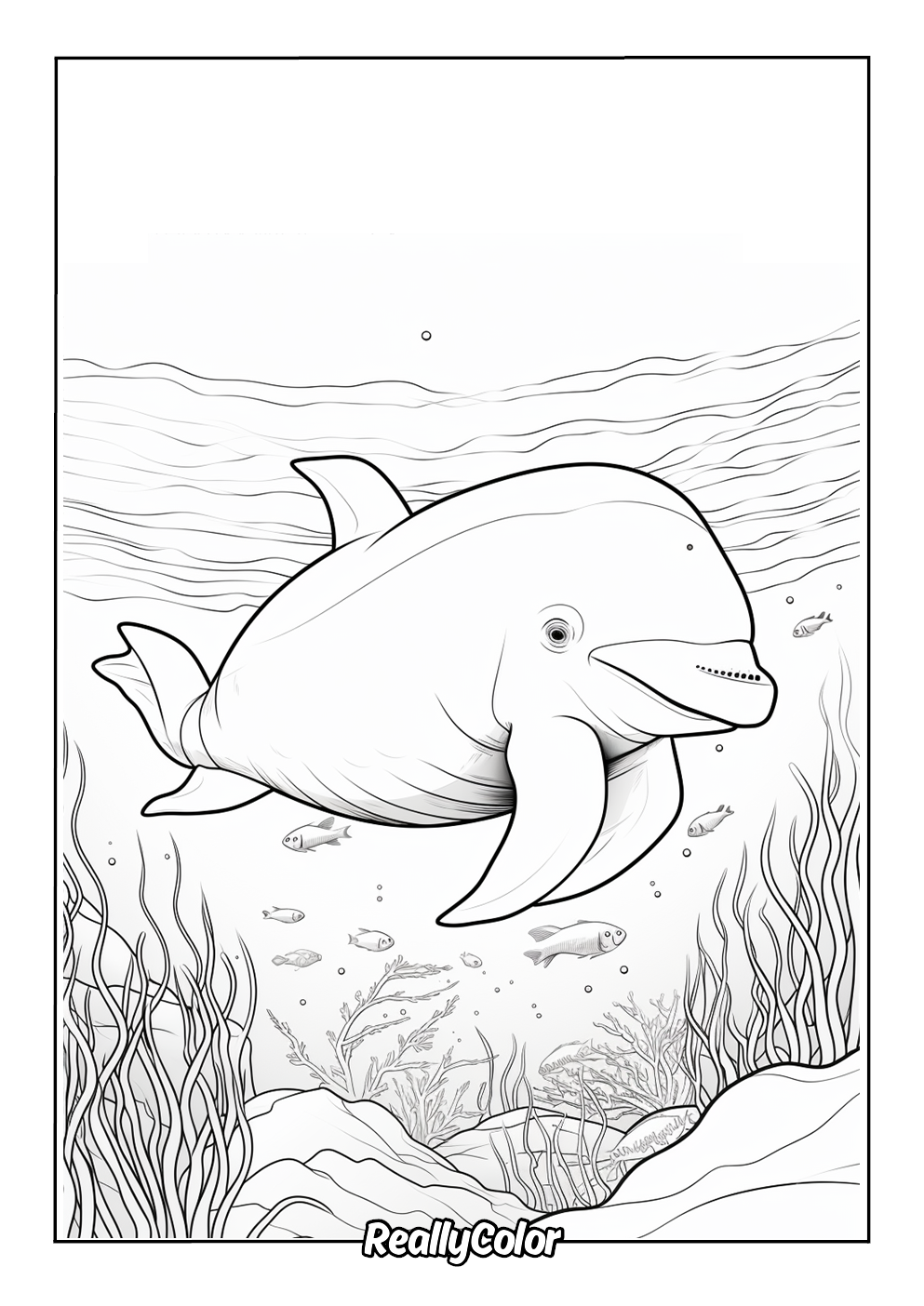 Coloring page of a beluga whale