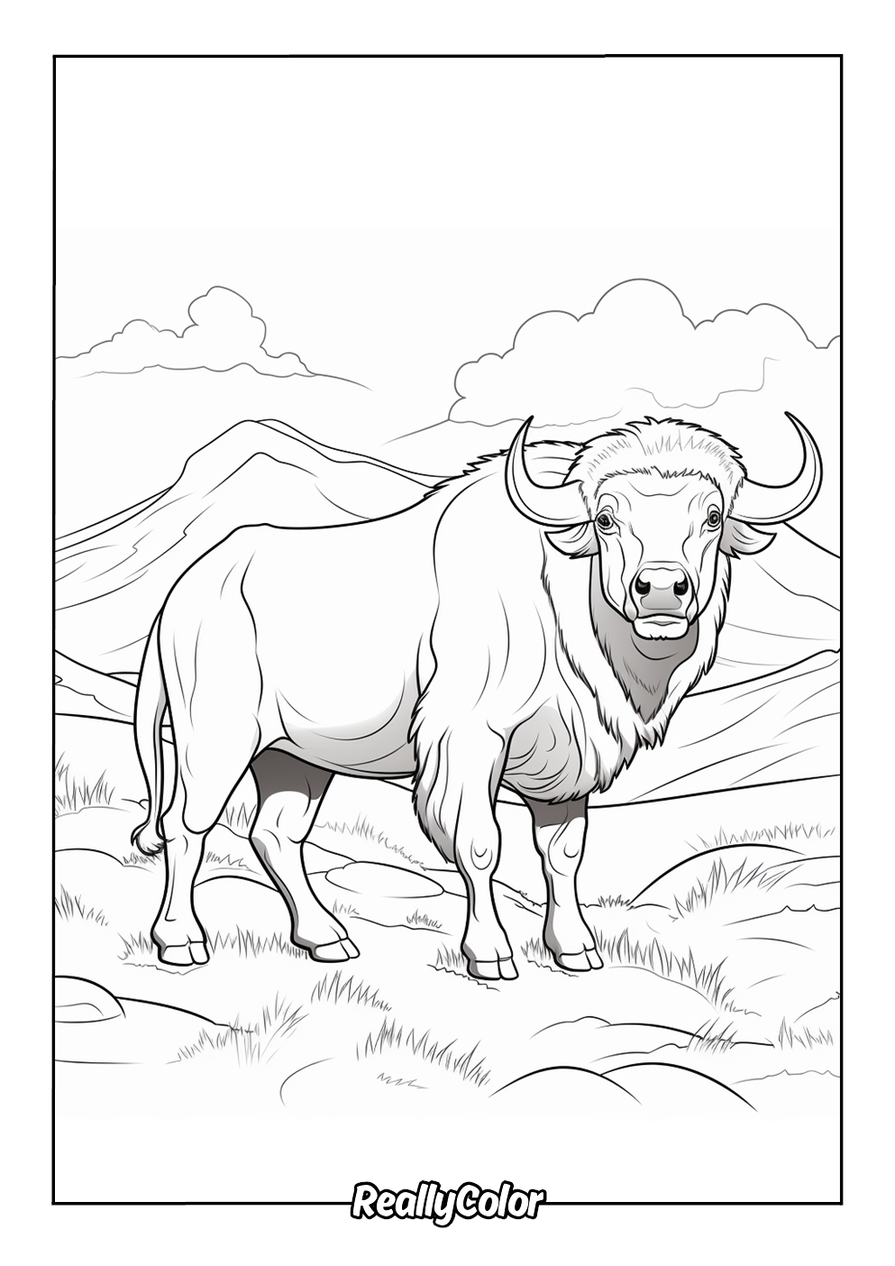 Coloring page of a buffalo in the wild