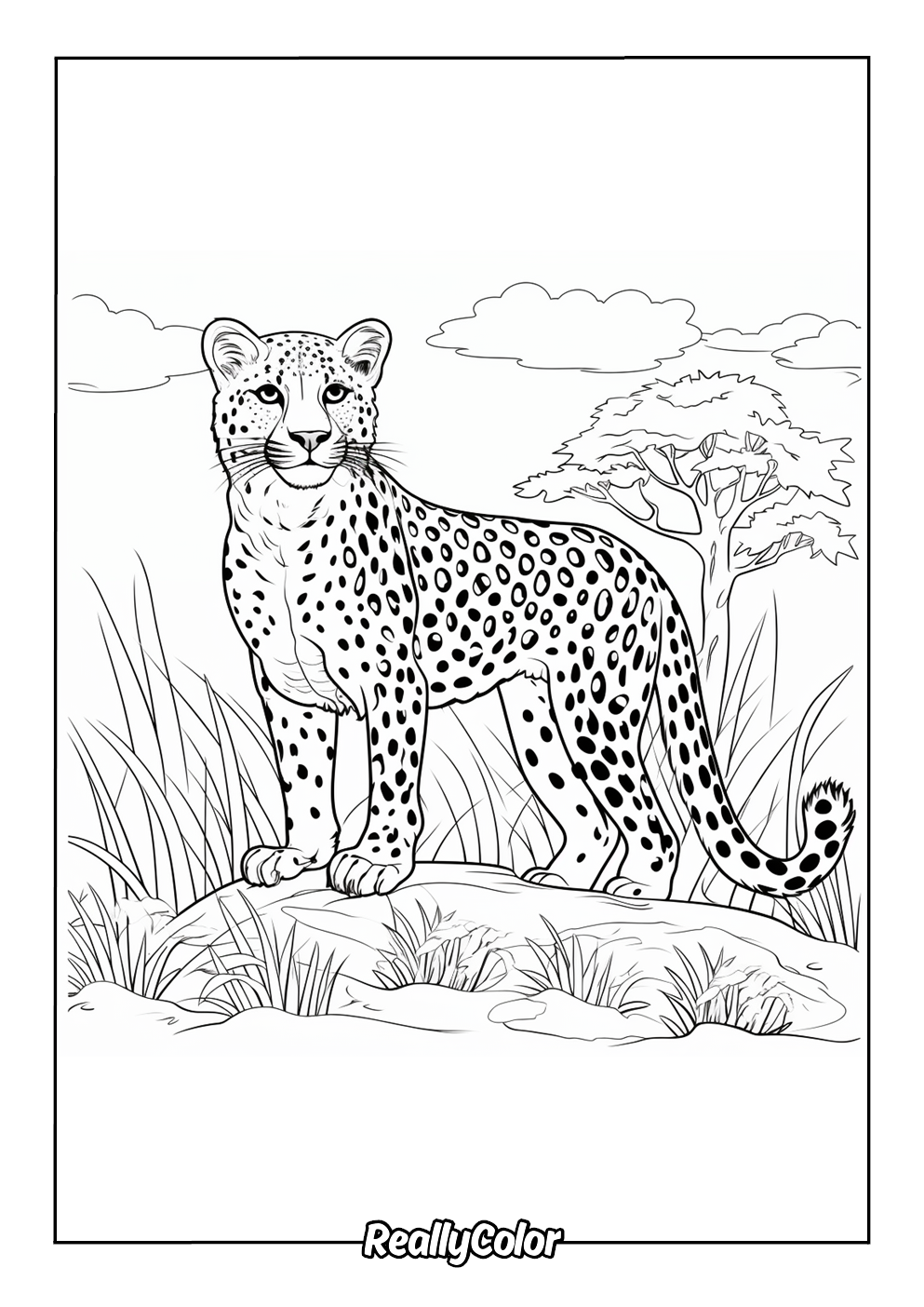 Coloring page of a cheetah in the savanna