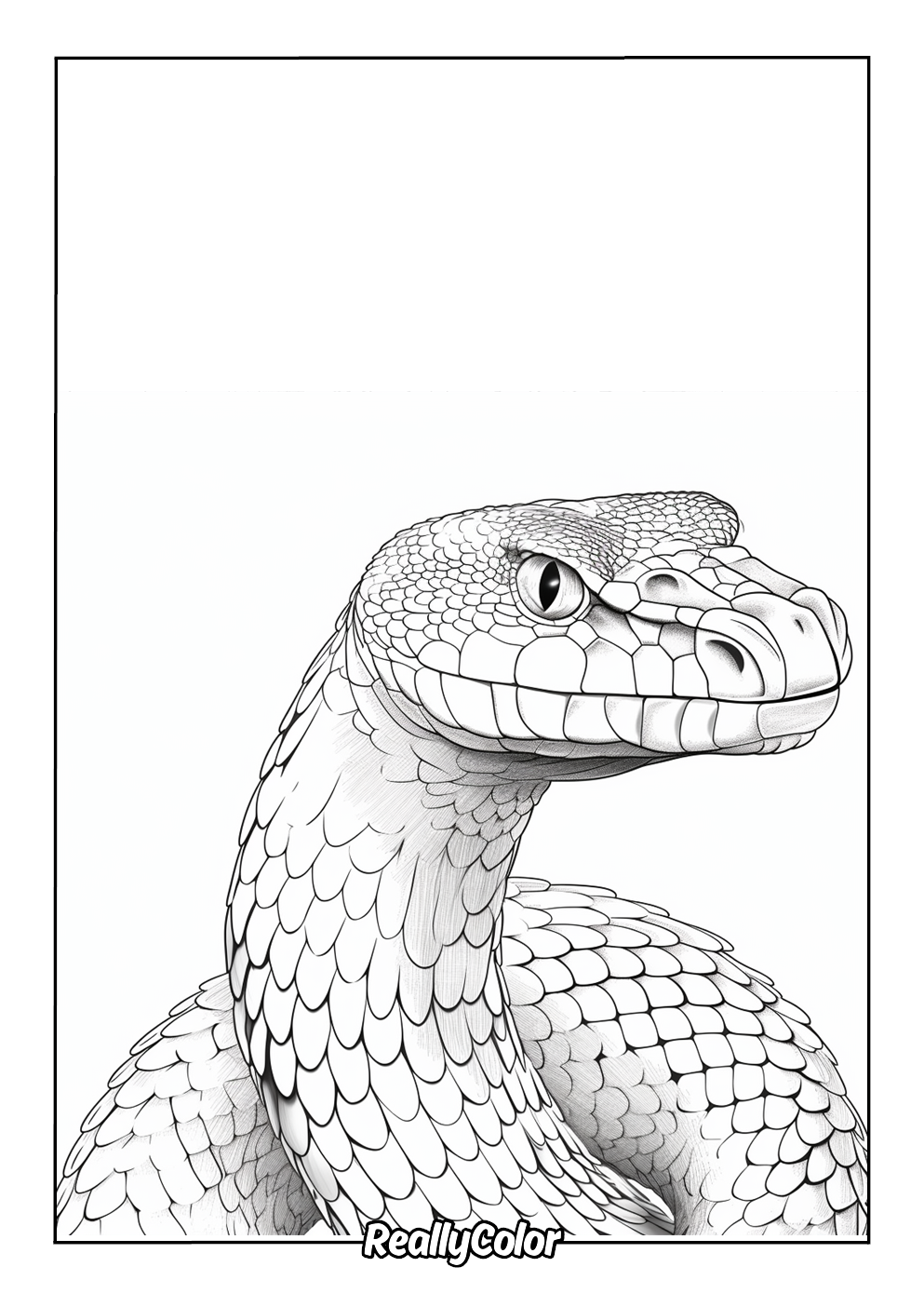 Coloring page of a cobra