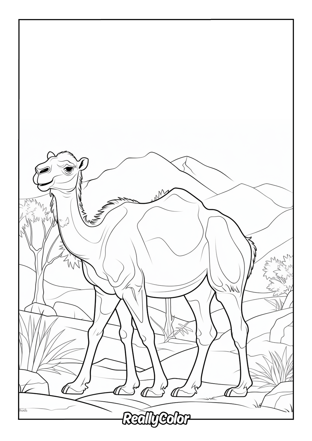 Coloring page of a realistic camel