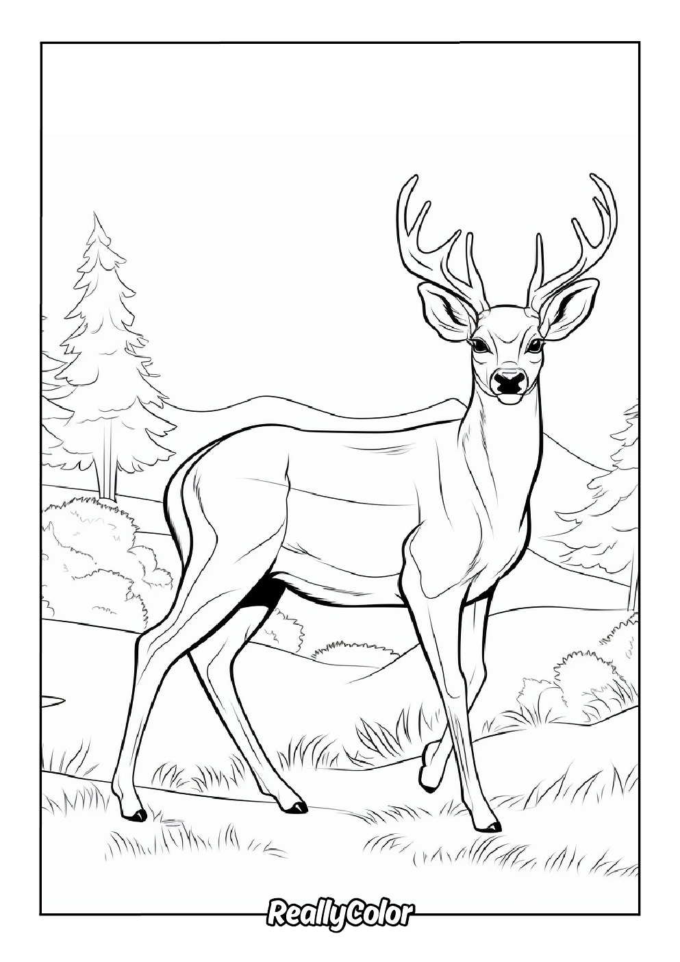 Coloring page of an adult deer with majestic antler