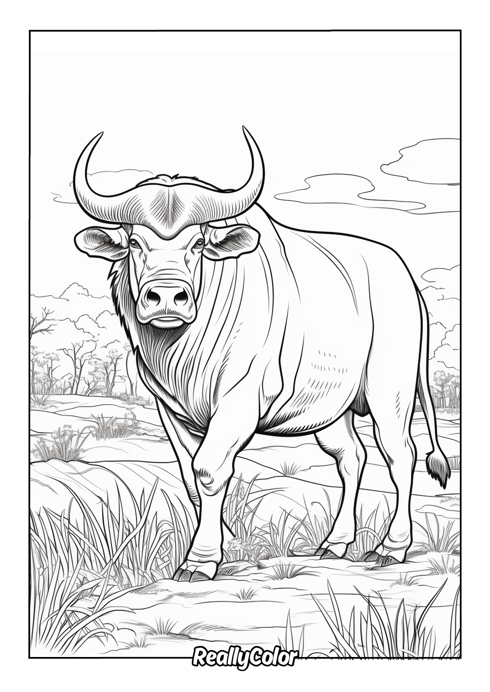 Coloring page of an impressive buffalo