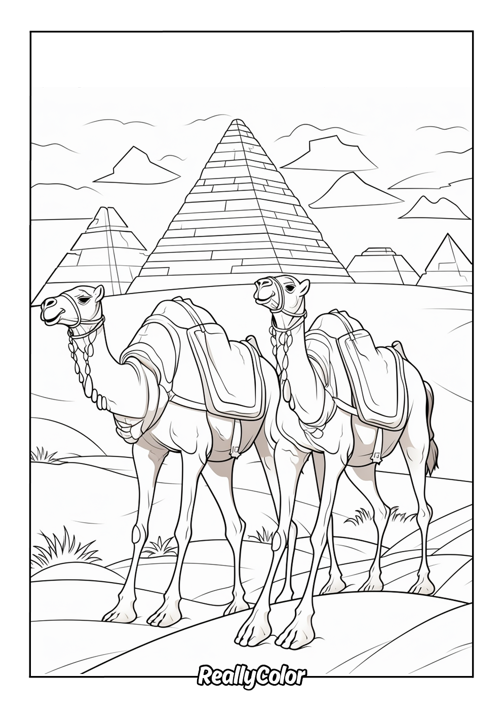 Coloring page of camels and pyramids in Egypt