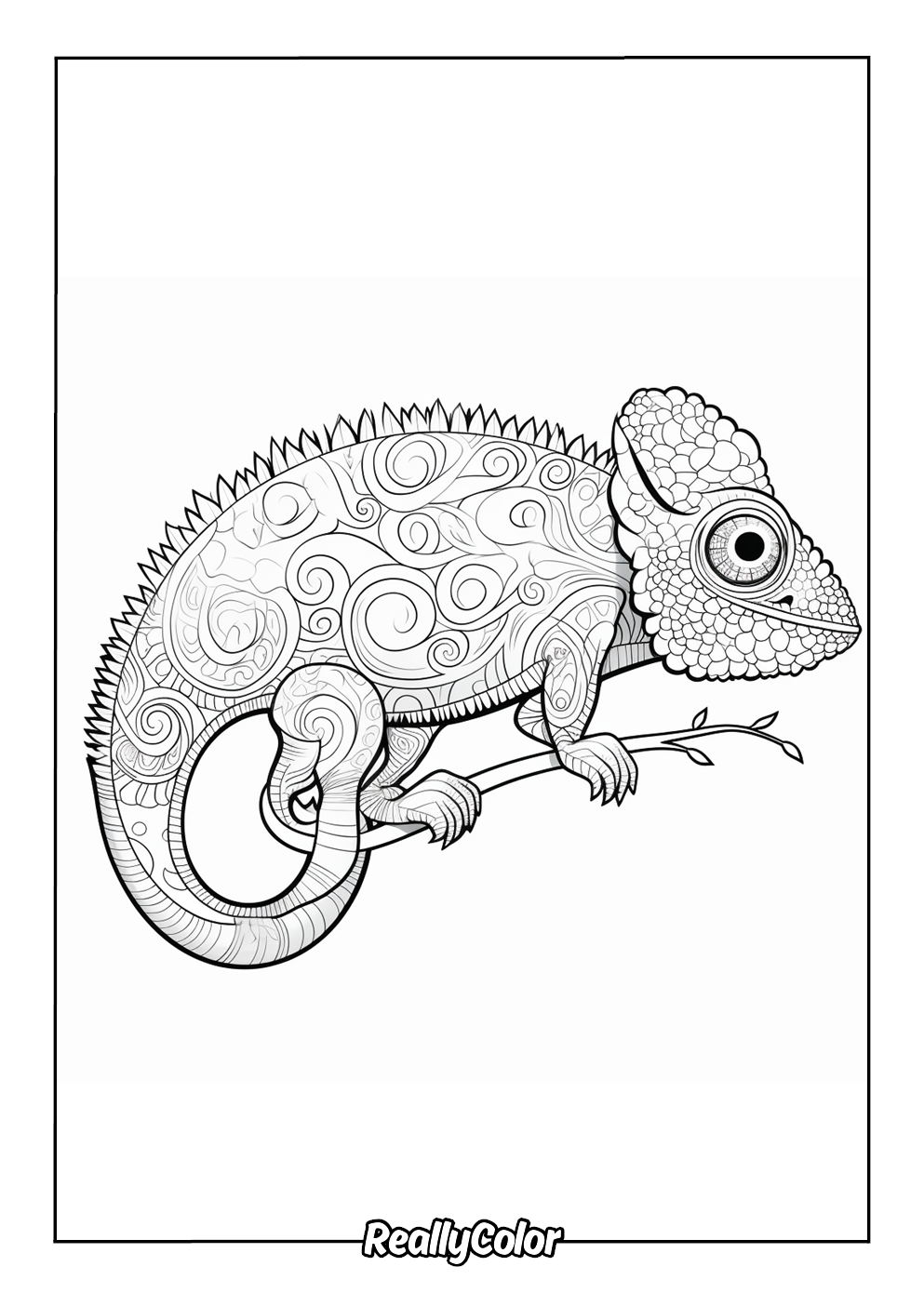 Coloring page of chameleon with patterns