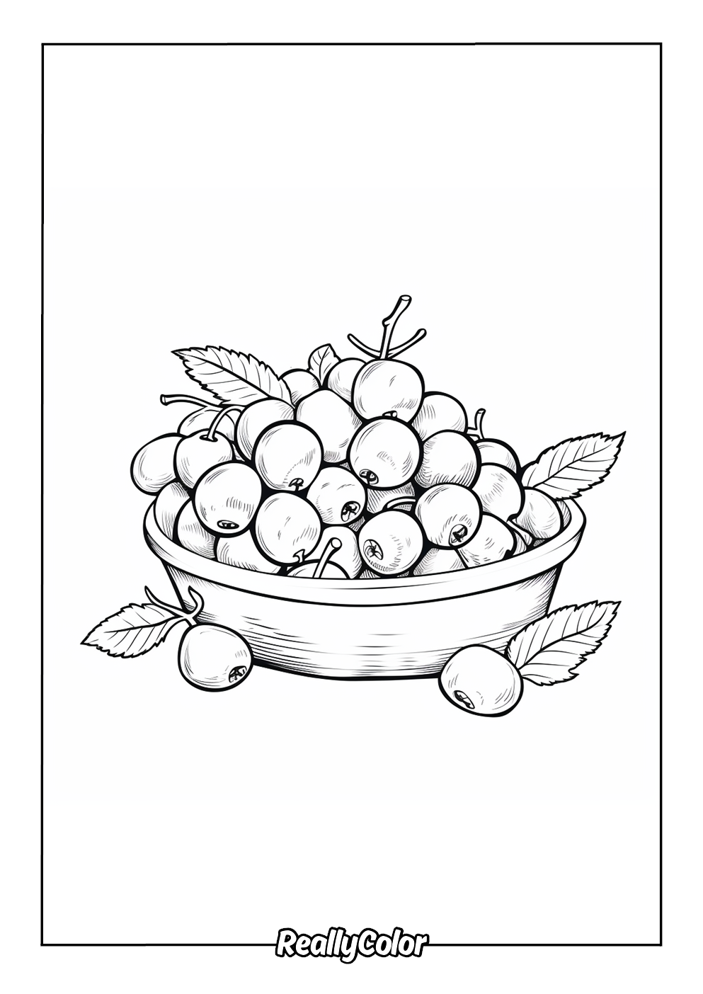 Coloring page of delicious cherries