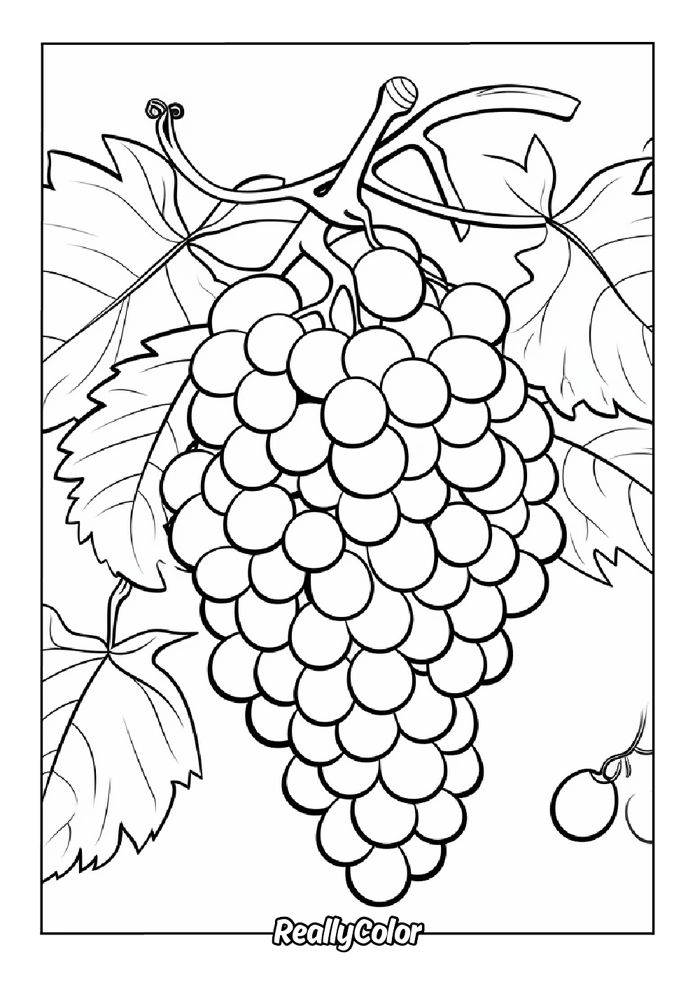 Coloring page of sweet grapes