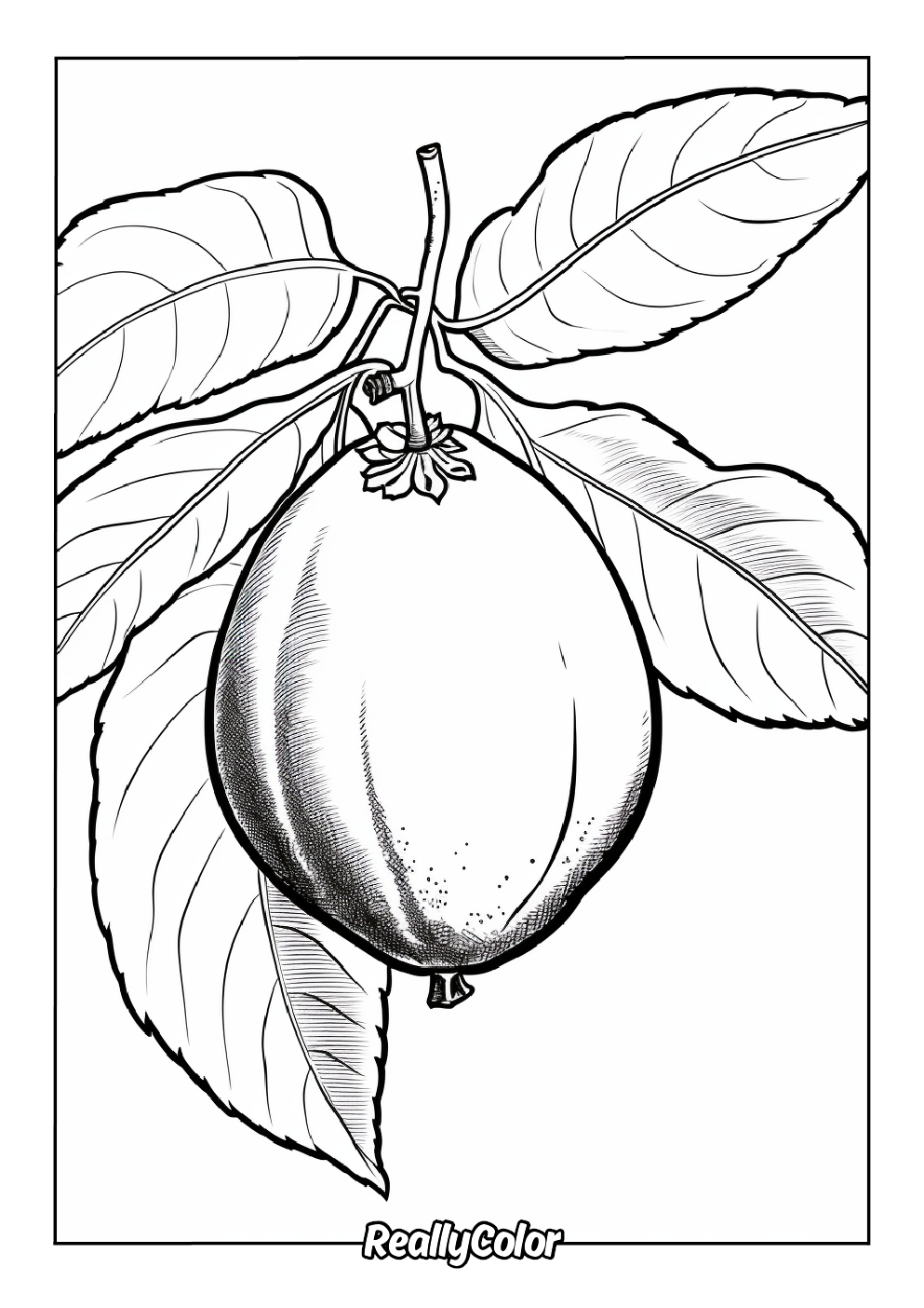 Coloring picture of lemon