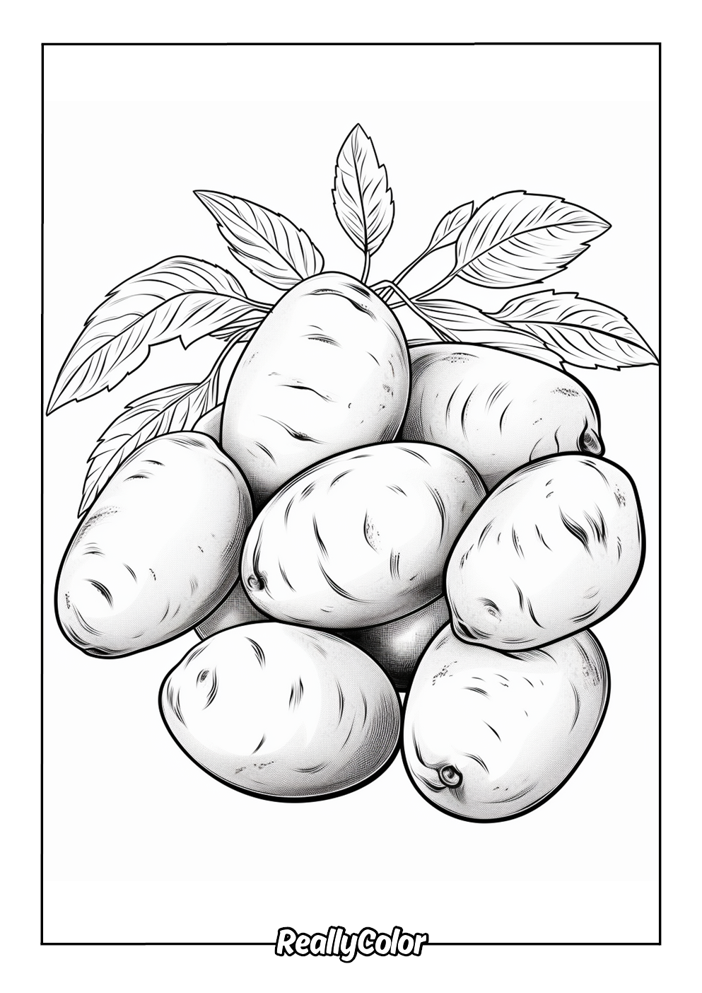 Coloring picture of potato
