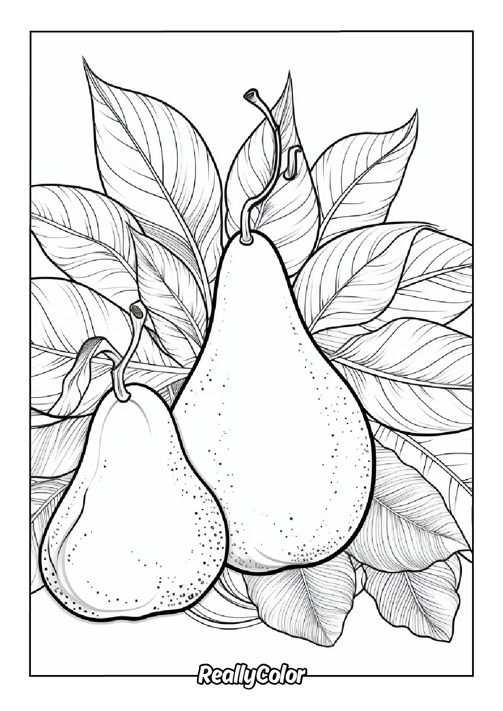 Couple of pears to color