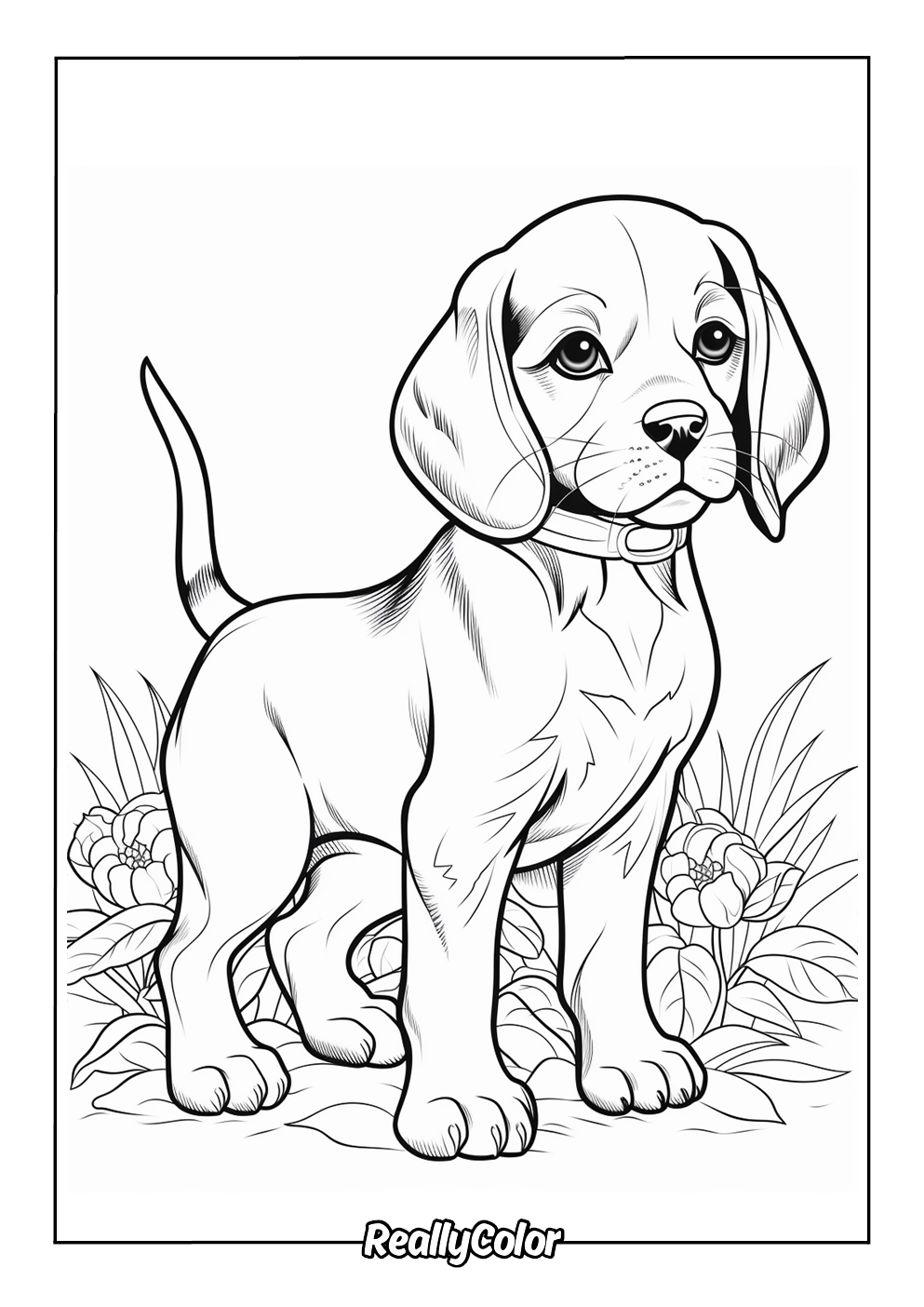 Cute beagle coloring page