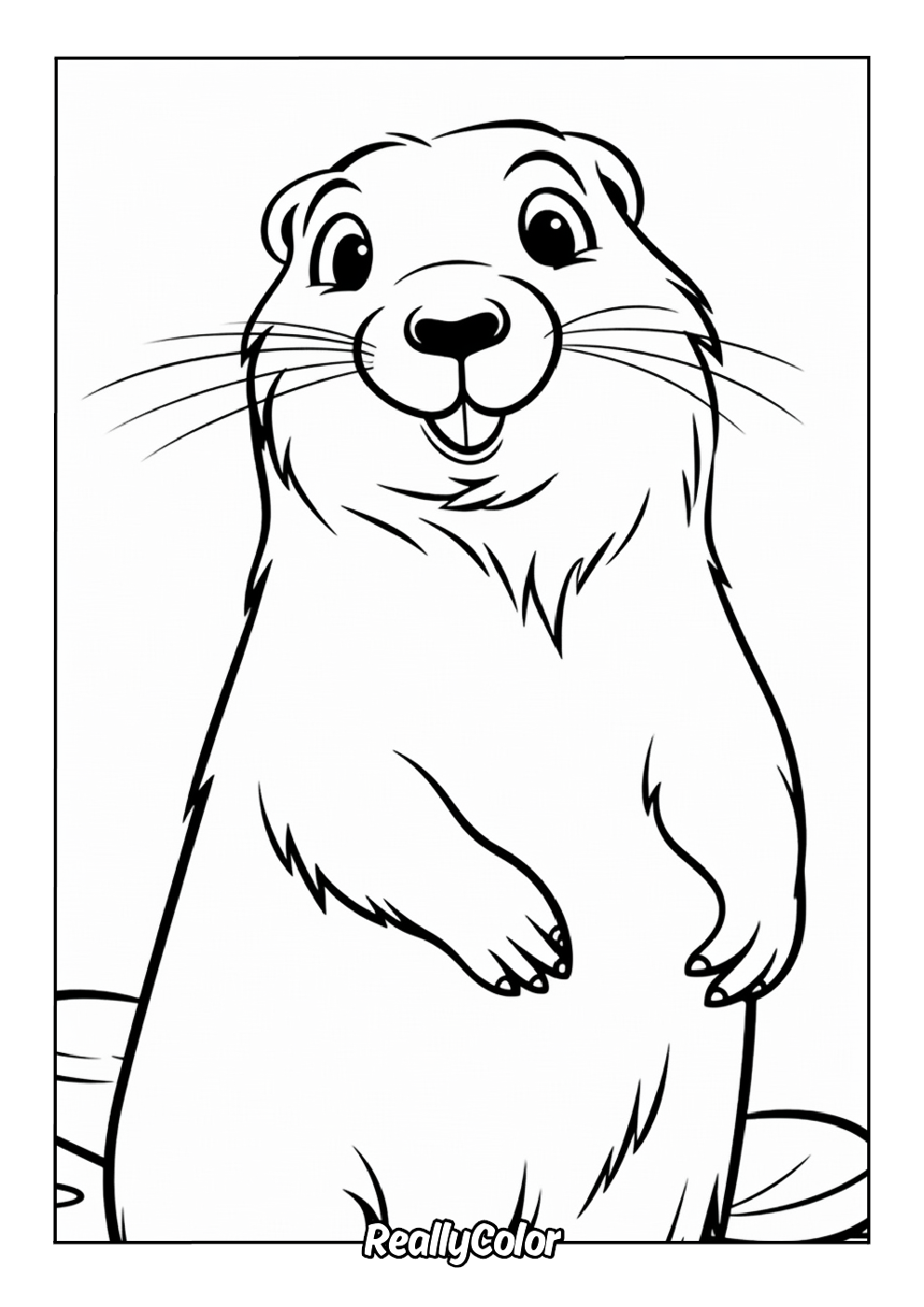 Cute beaver coloring page