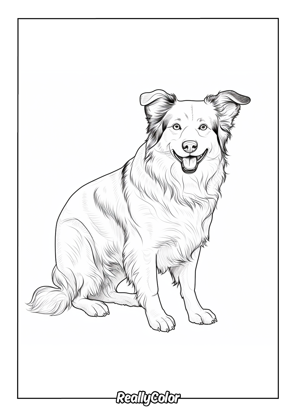 Cute border collie coloring page