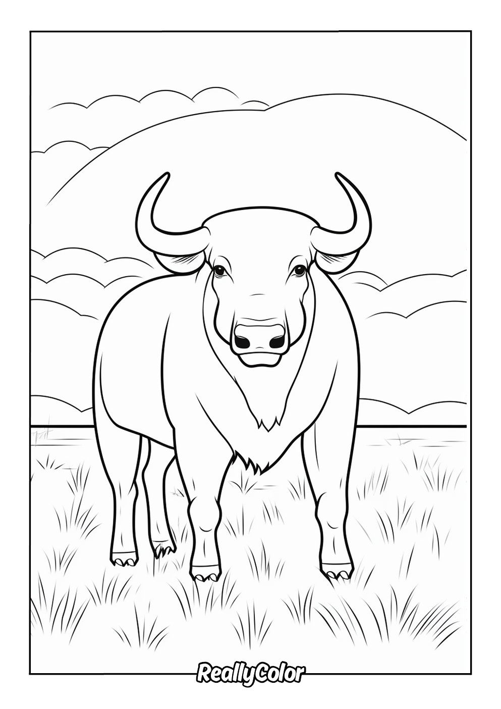 Cute buffalo coloring page for kids