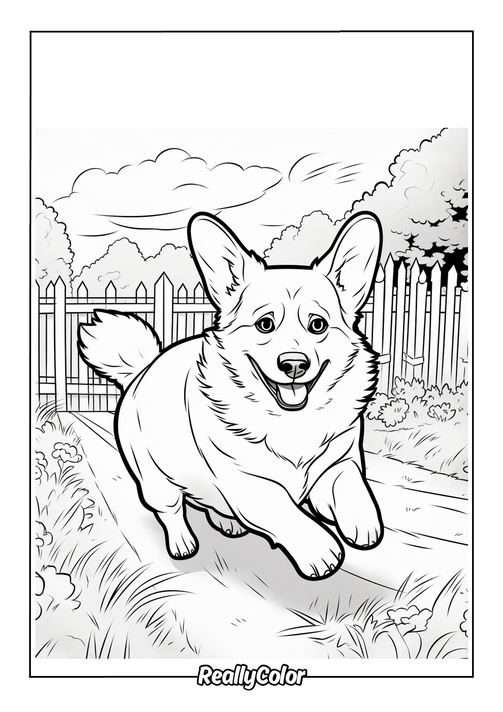 Cute corgi coloring page