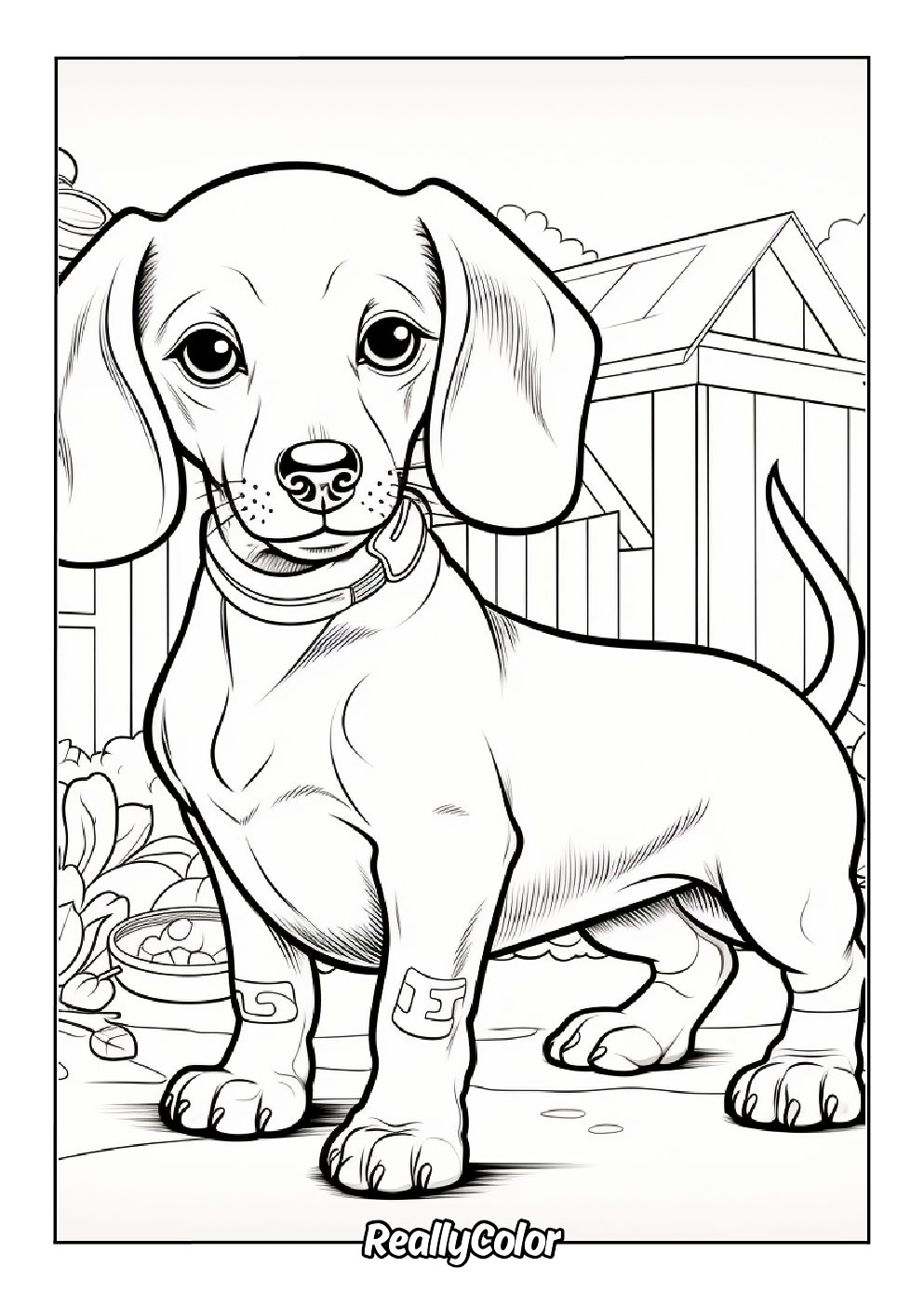 Cute dachshund dog coloring page