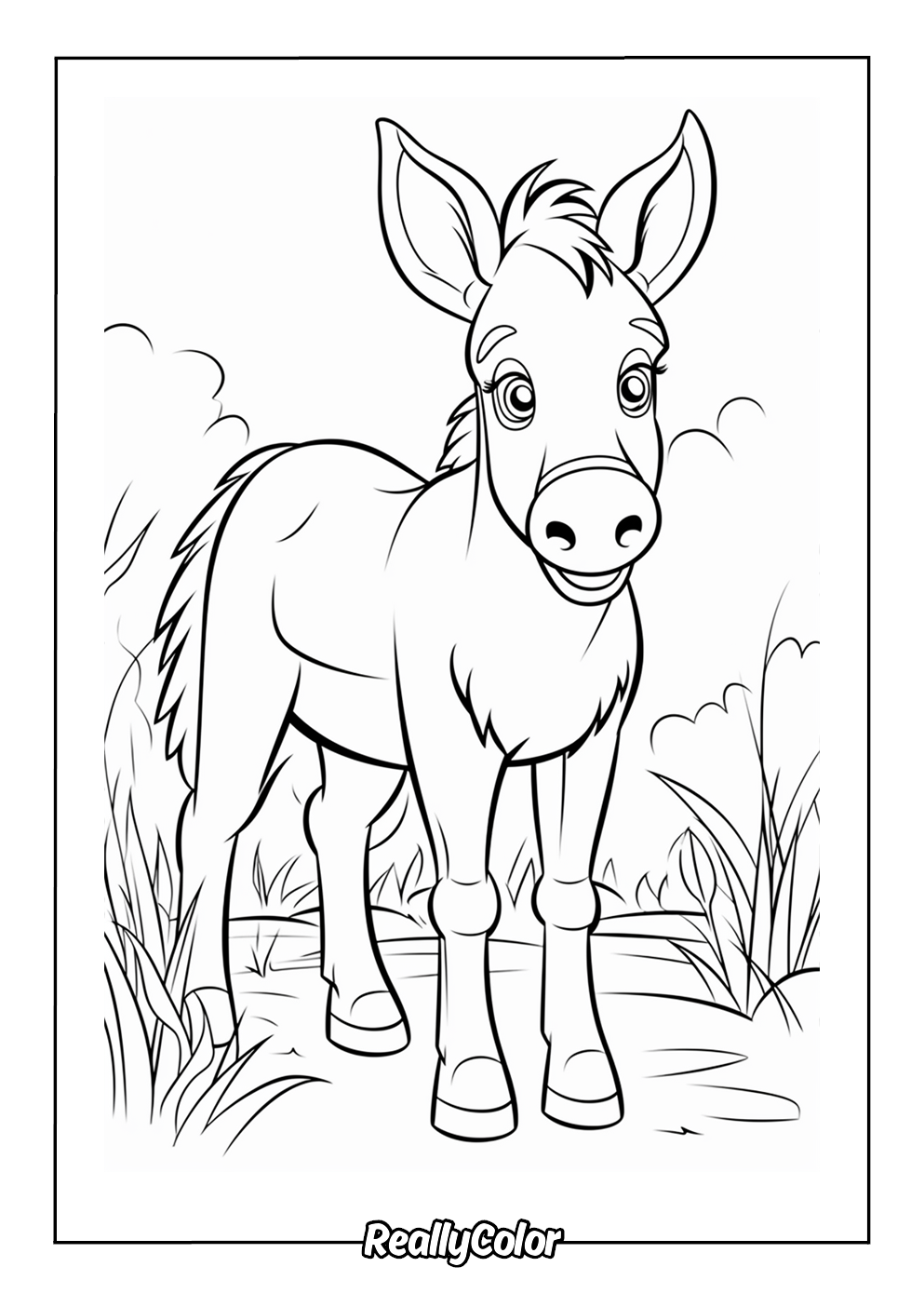 Cute donkey color page