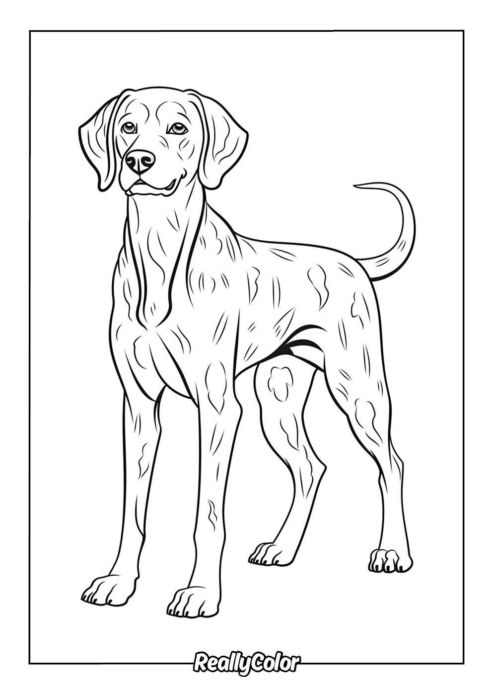 Dalmatian dog coloring page
