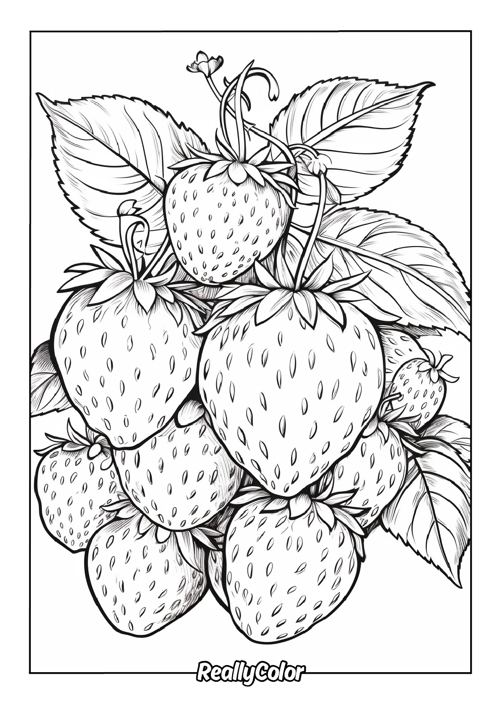 Delicious strawberry coloring page