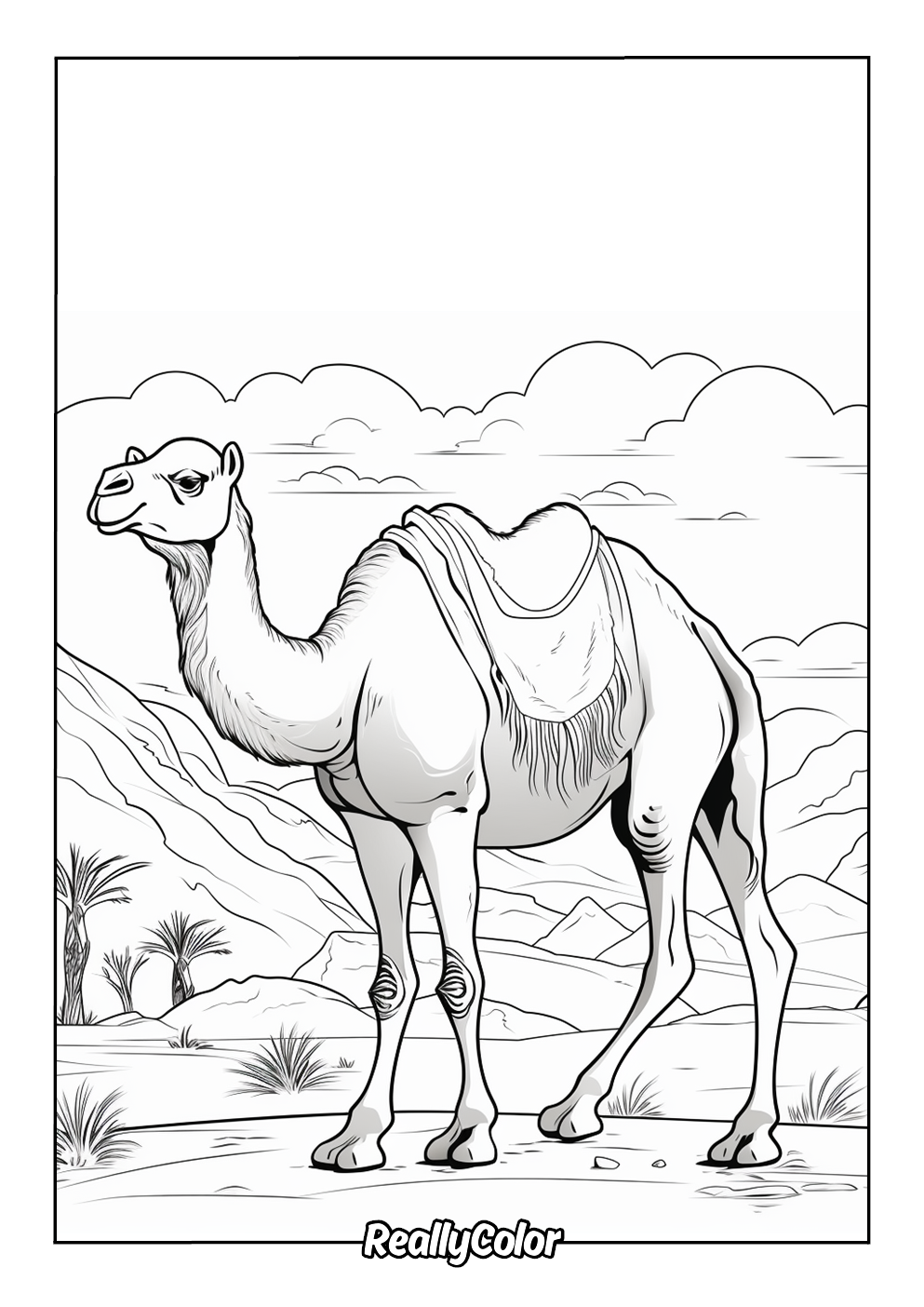 Desert camel for coloring