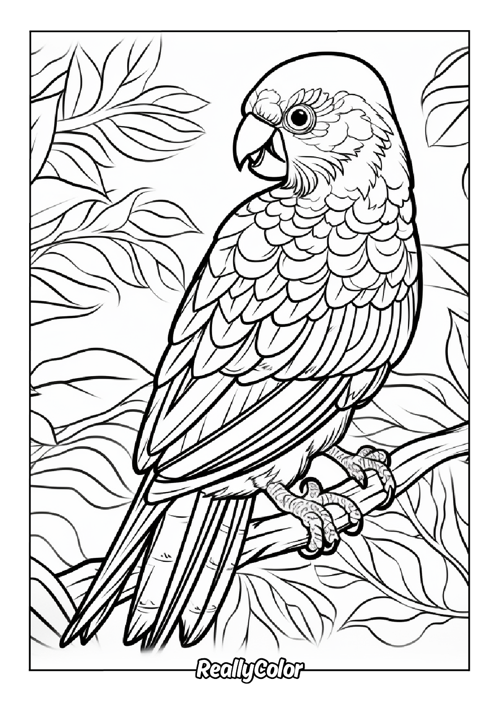 Detailed bird color page for adults