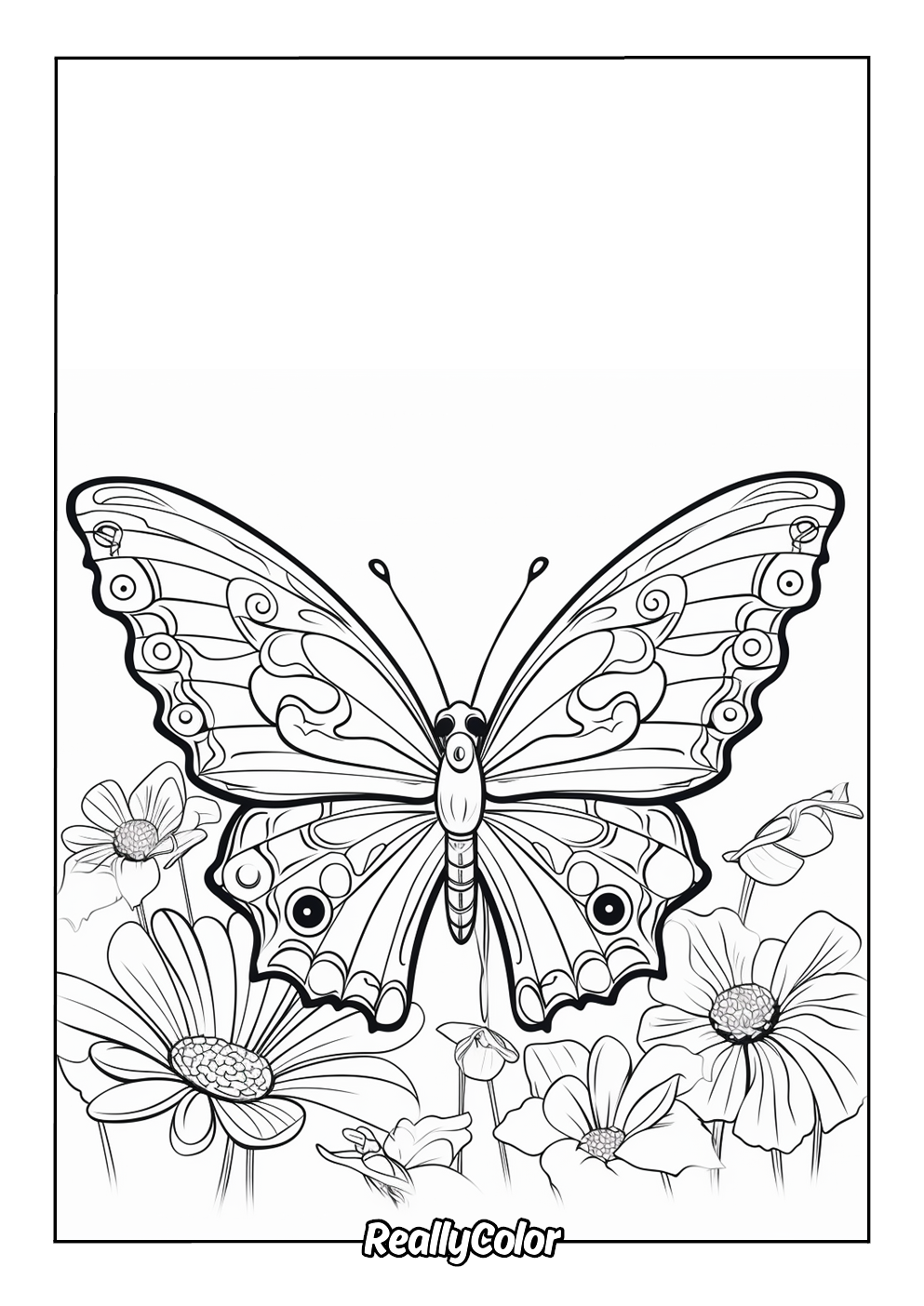 Detailed butterfly coloring page for adults