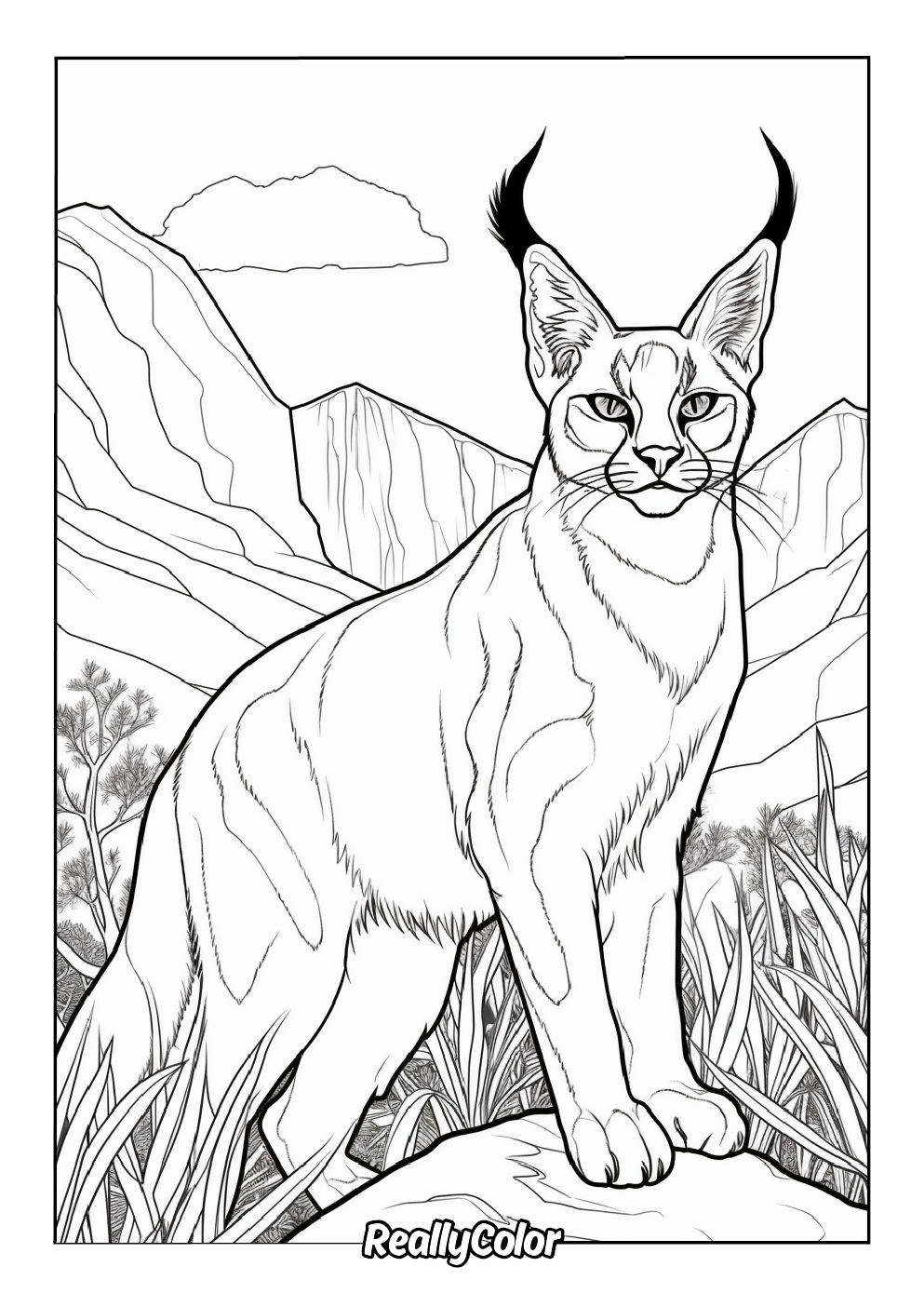 Detailed caracal color page for adults