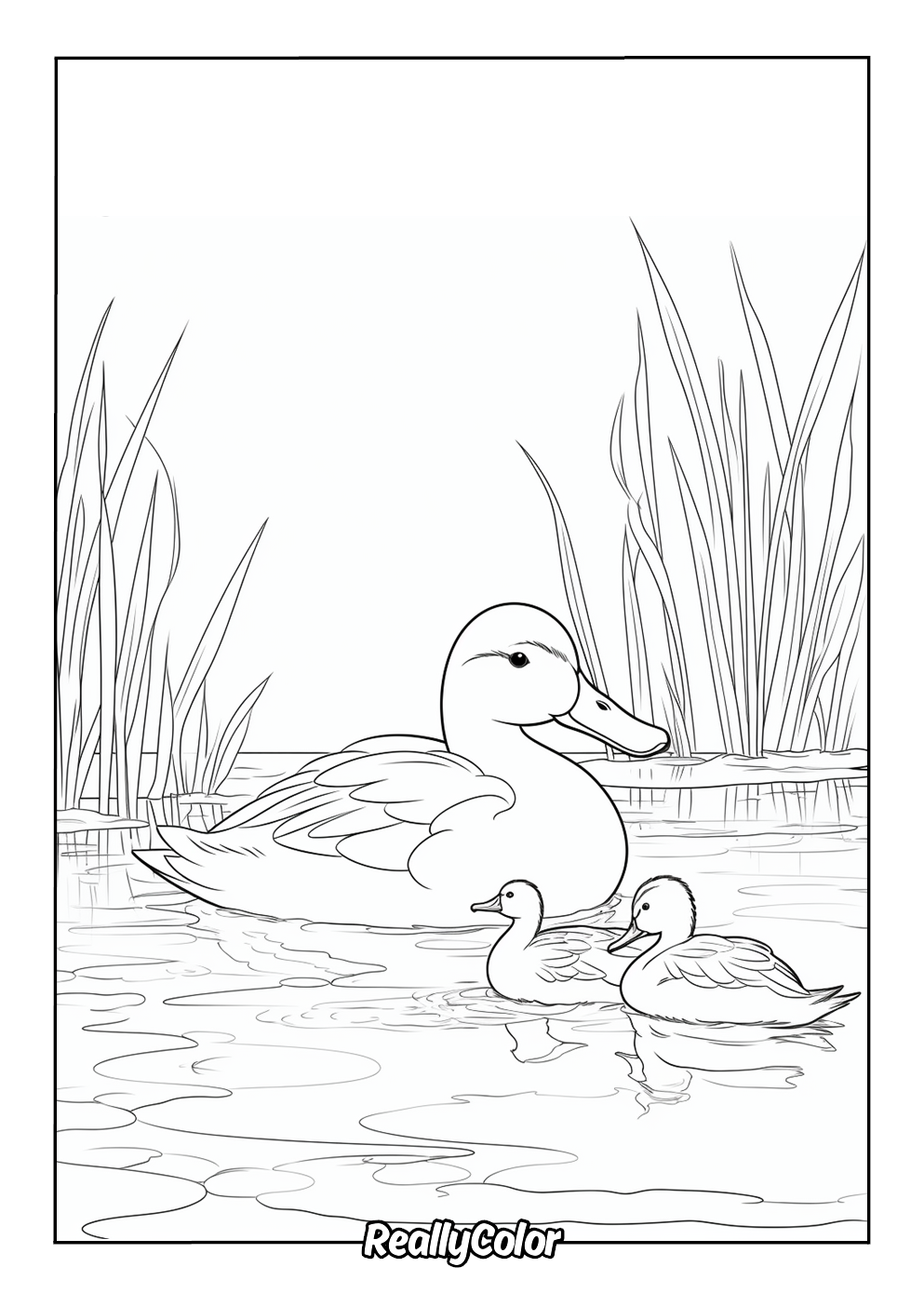 Duck and ducklings coloring page