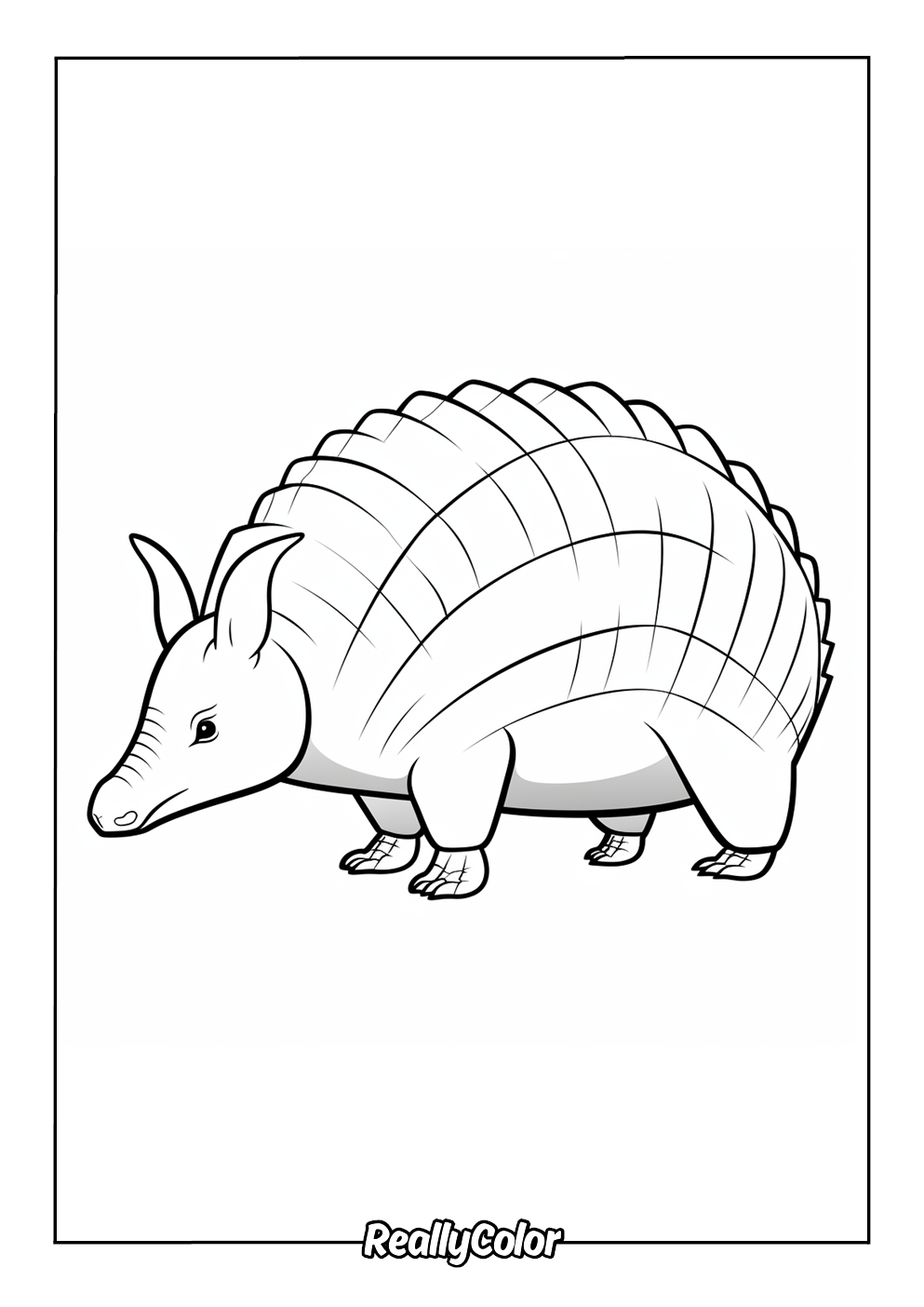Easy armadillo color page for kids