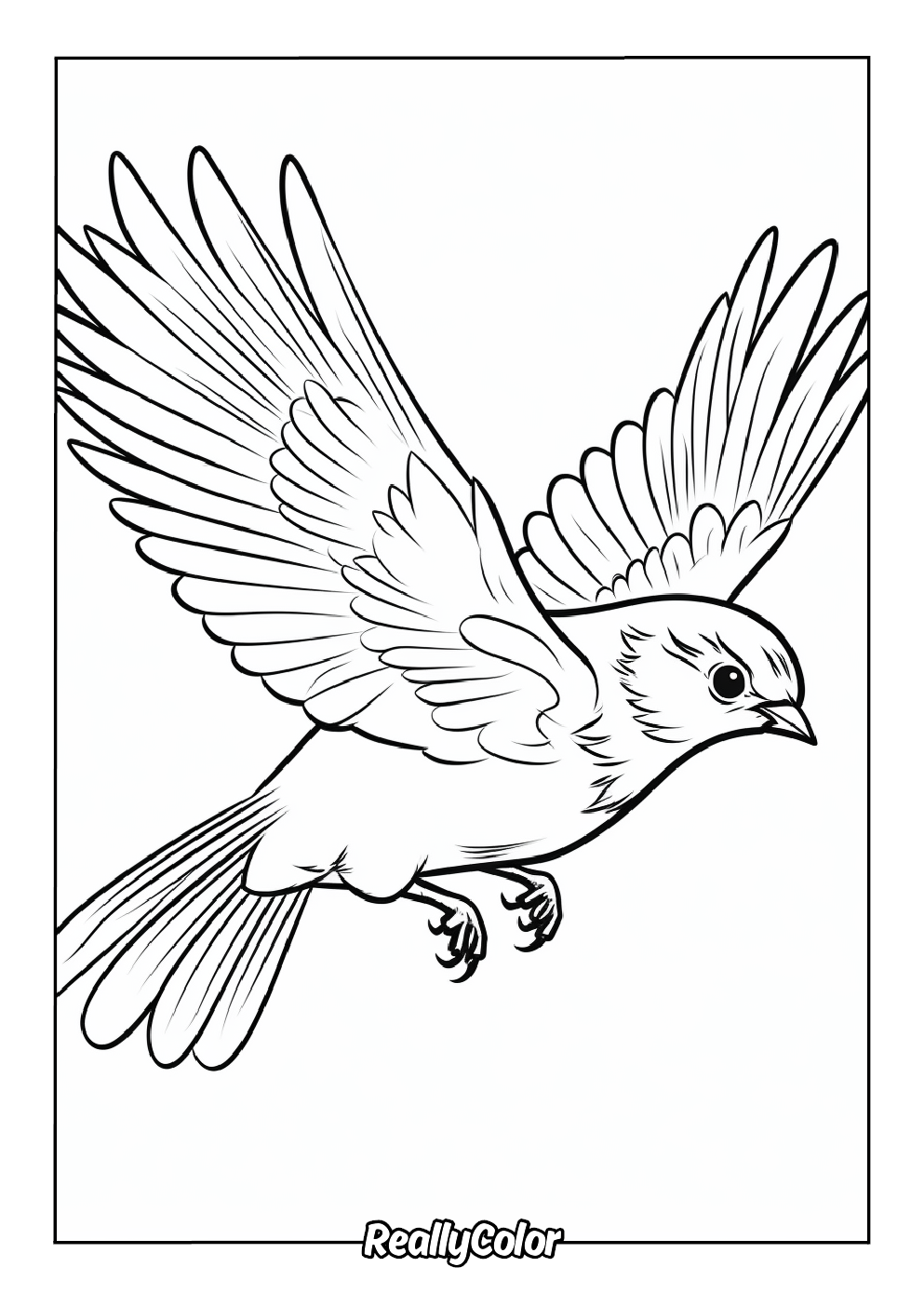Easy bird coloring page for kids