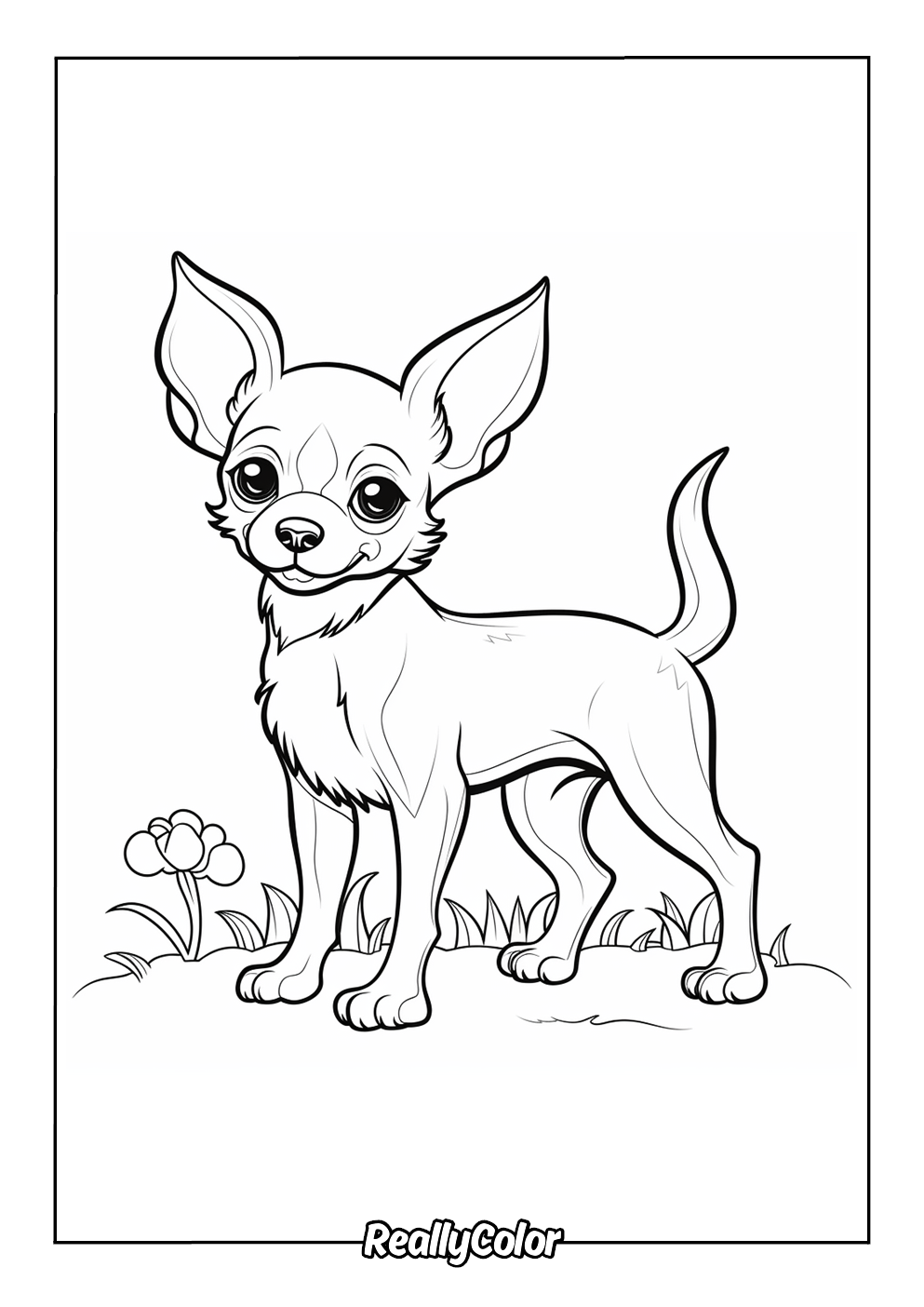 Easy coloring page of a chihuahua for kids