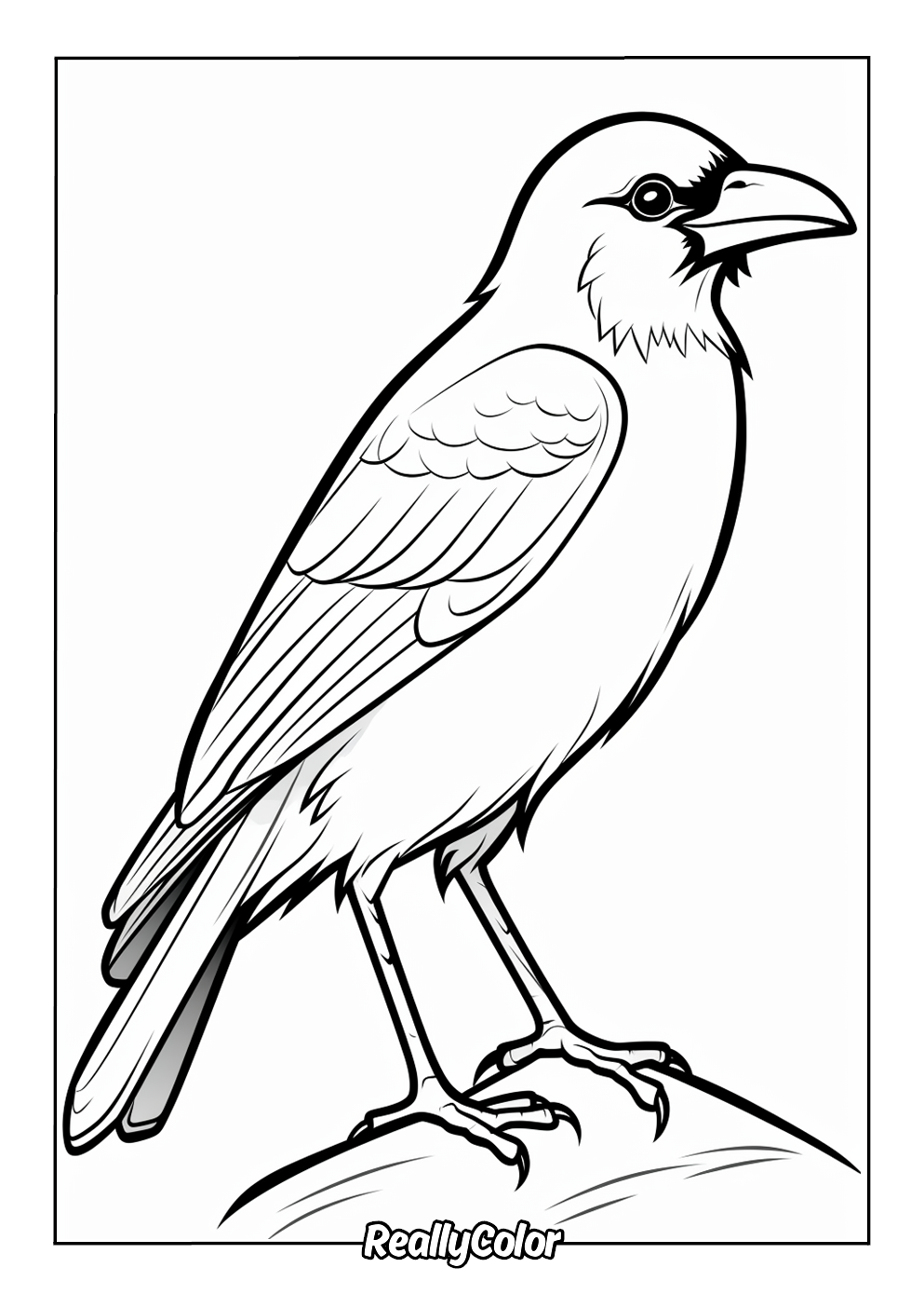 Easy crow coloring page for kids