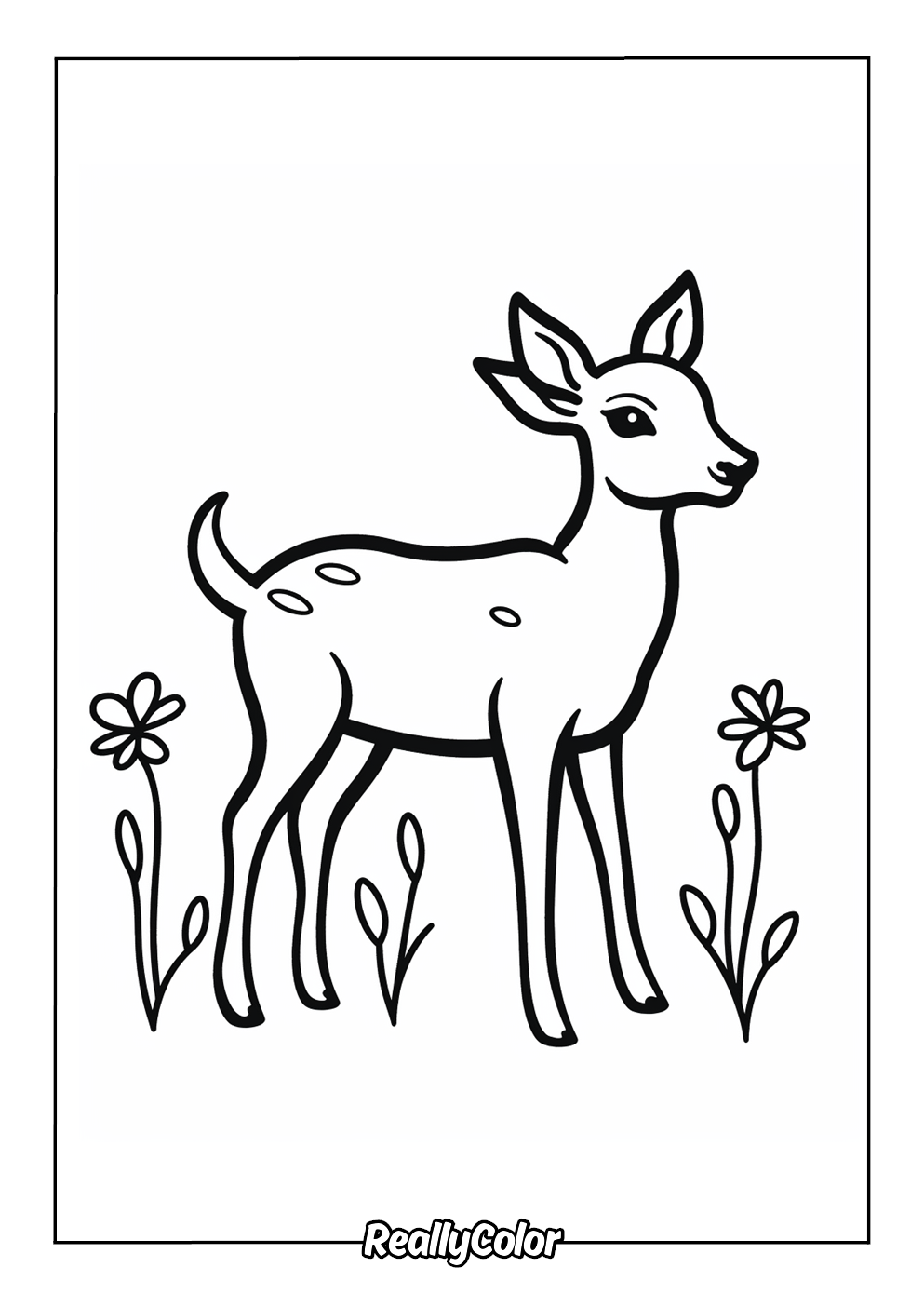 Easy deer color page for kids