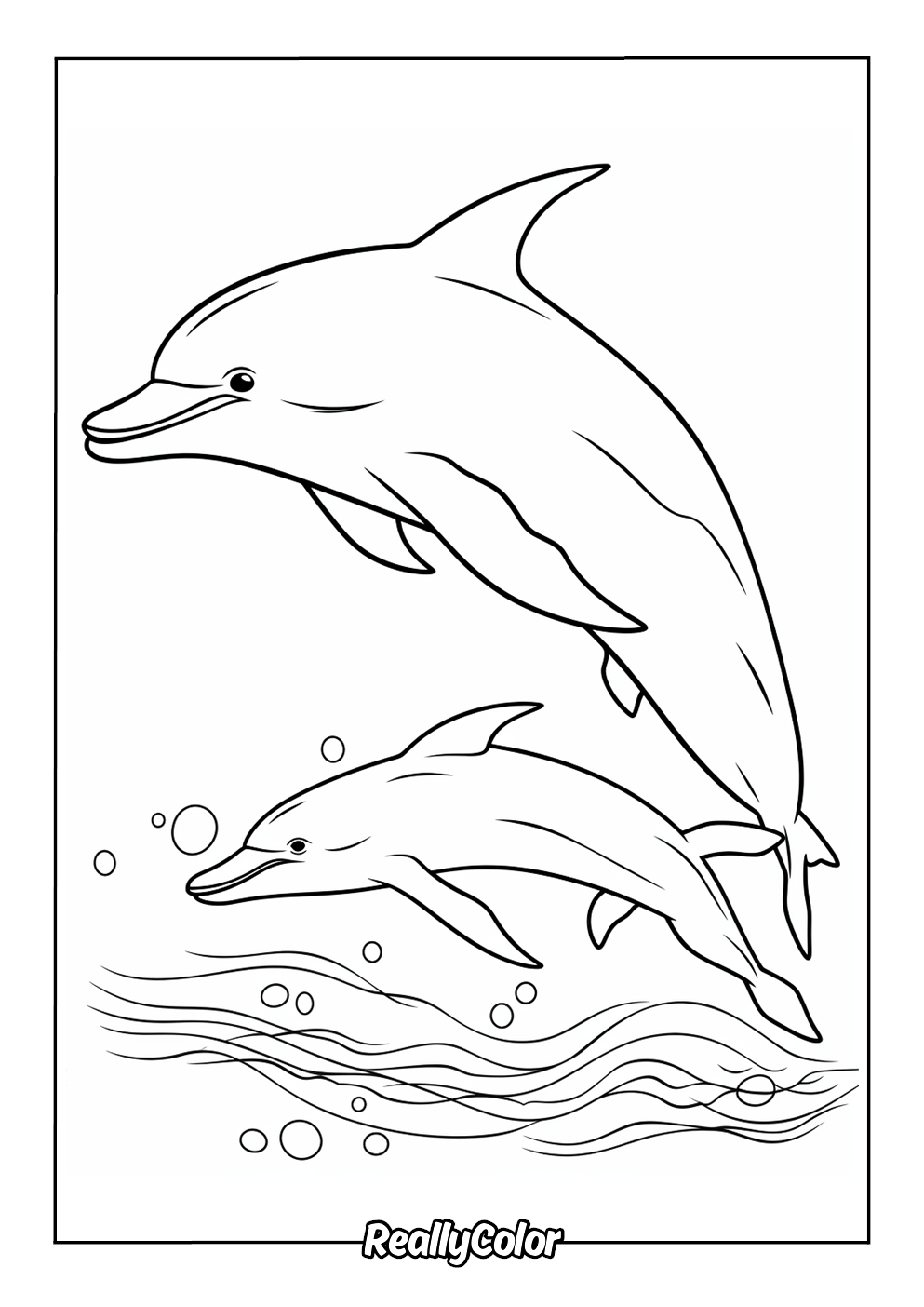 Easy dolphins color page