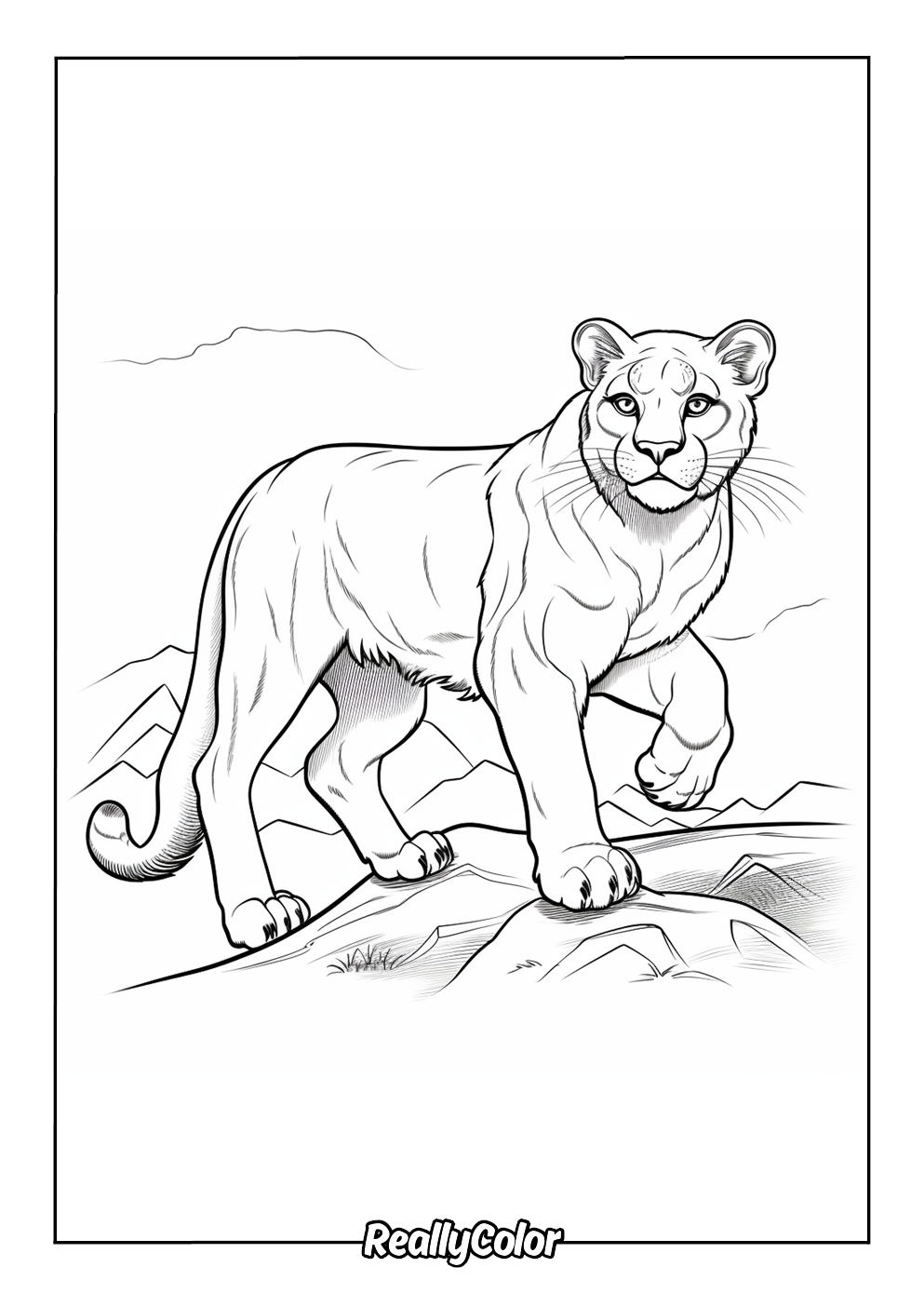 Easy mountain lion coloring page for kids