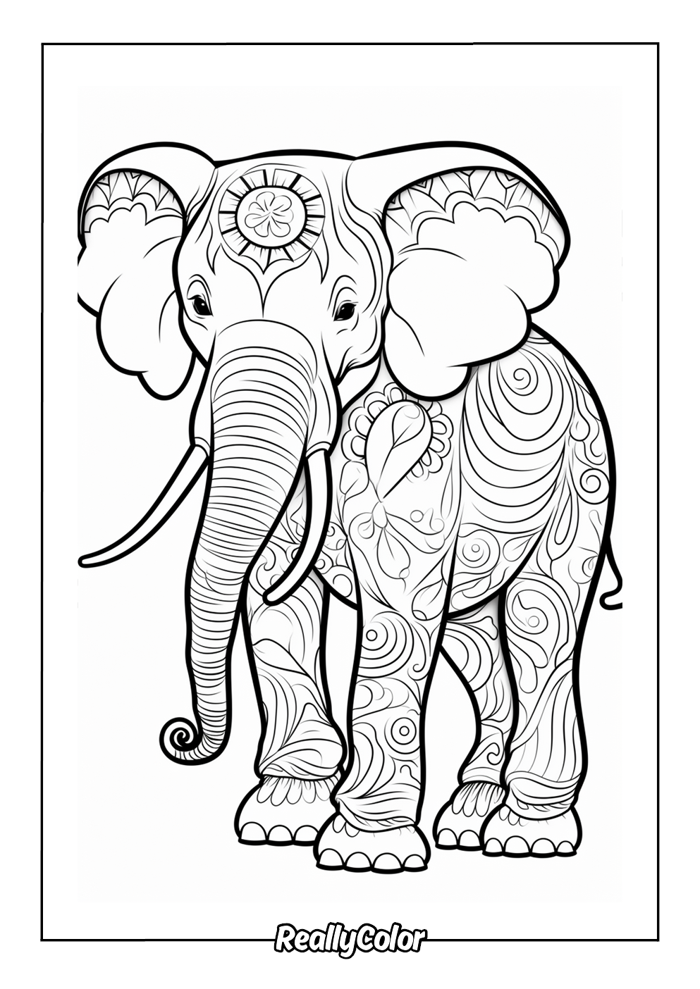 Elephant adult coloring page