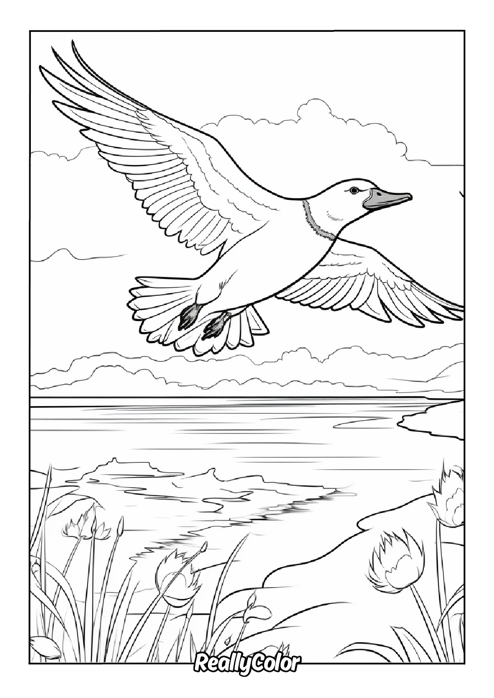Flying bird coloring page