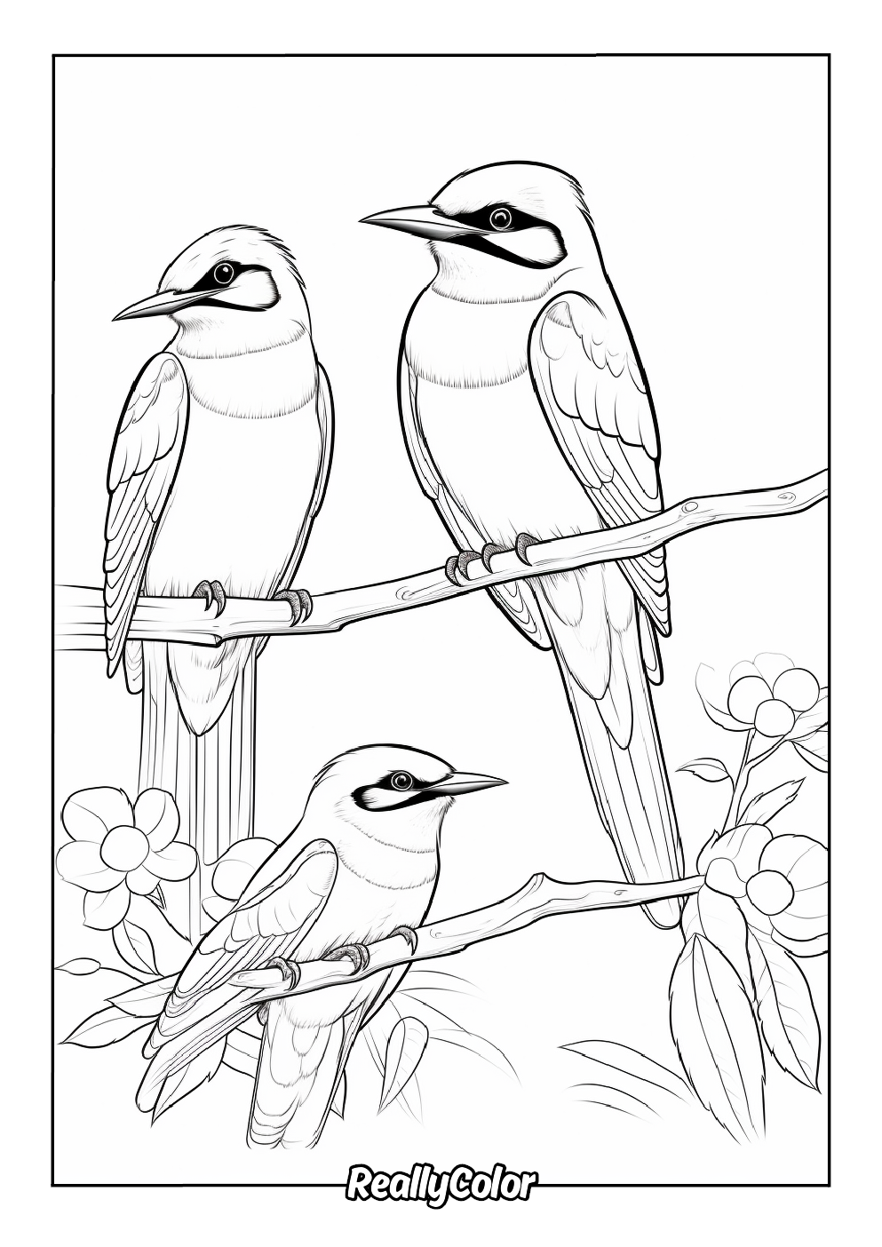 Free bird coloring page