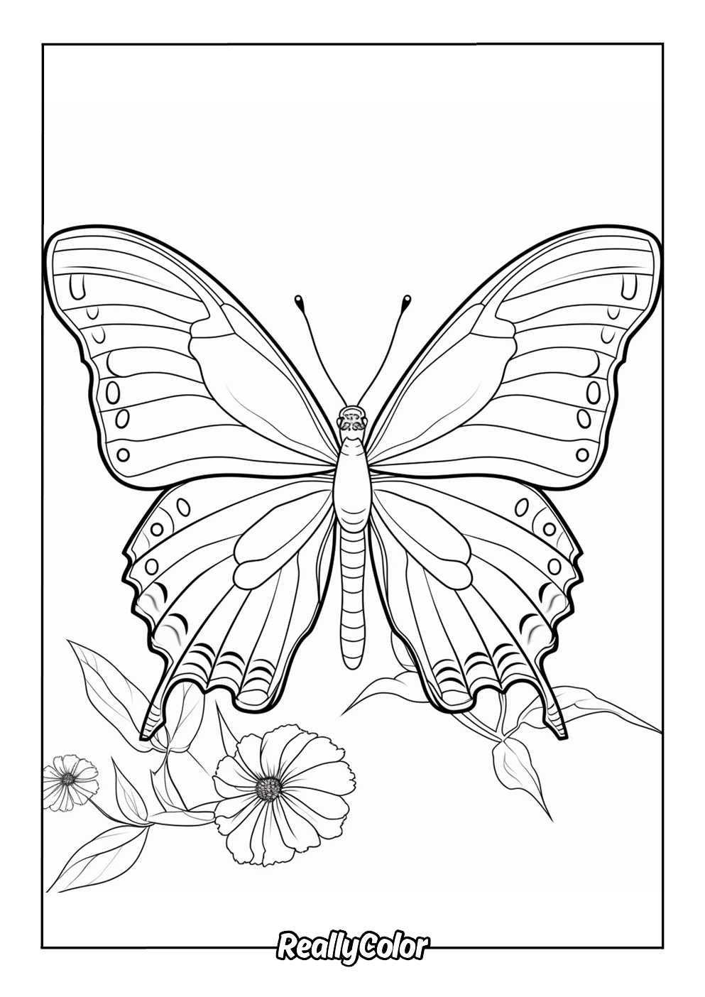 Free butterfly coloring page