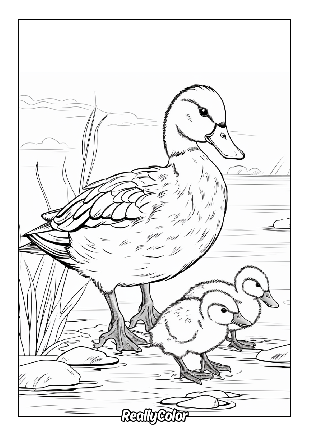 Free coloring page of a mom duck and her ducklings