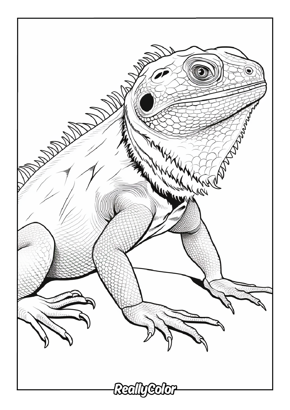 Free printable bearded dragon coloring page