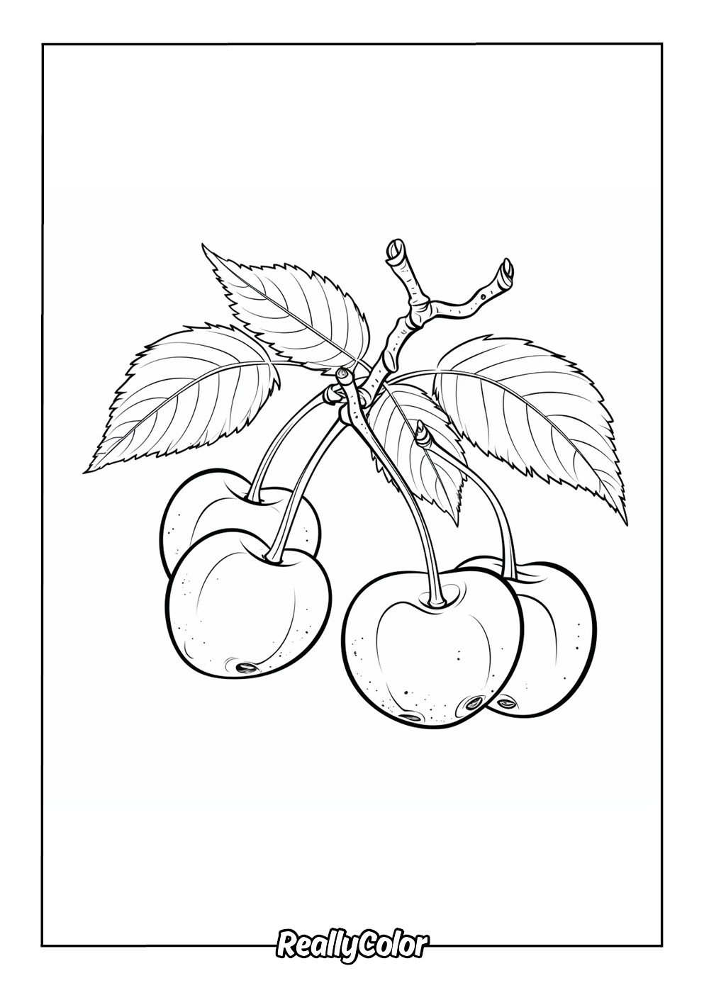 Free printable cherry color page