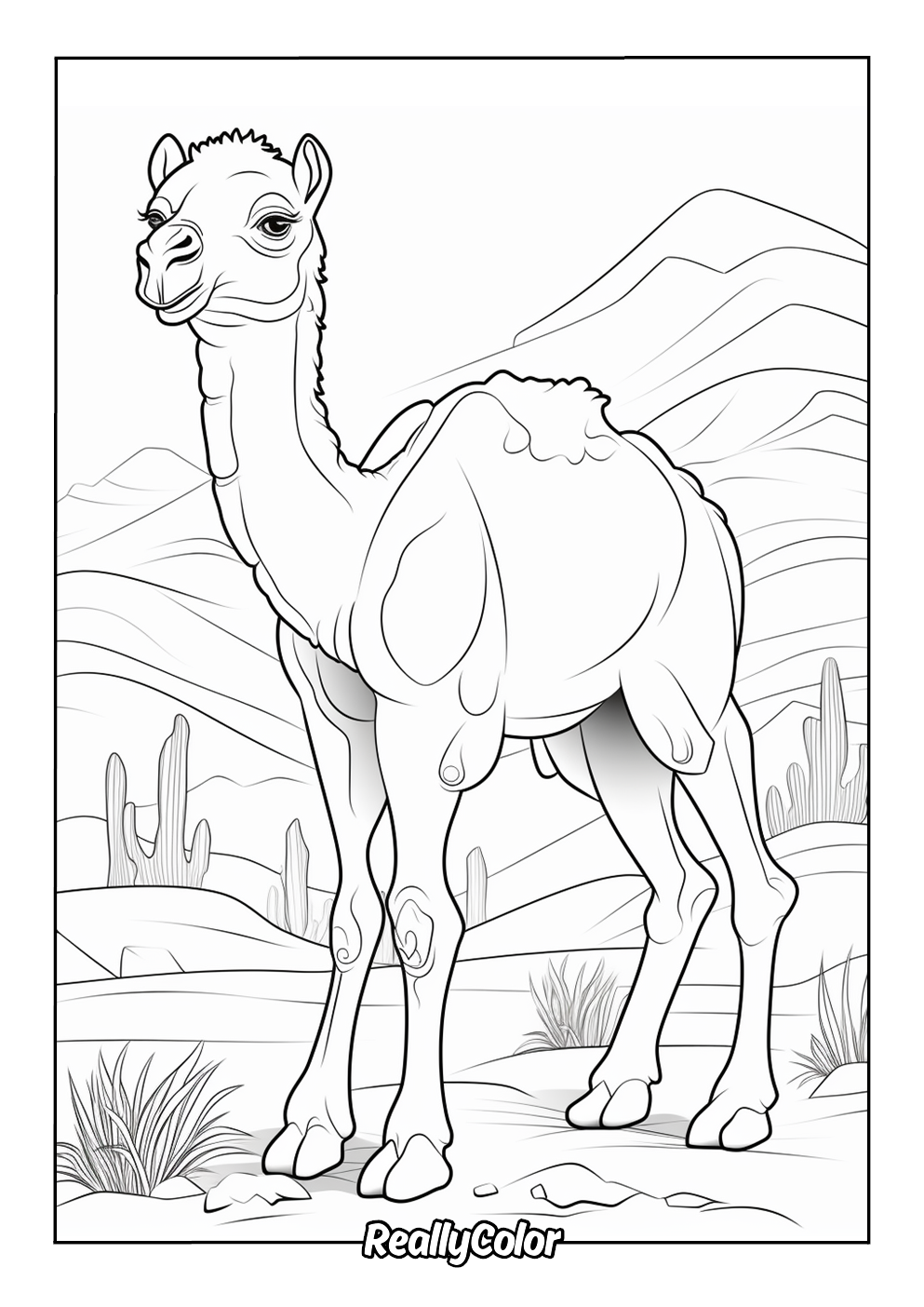 Free printable coloring page of a camel