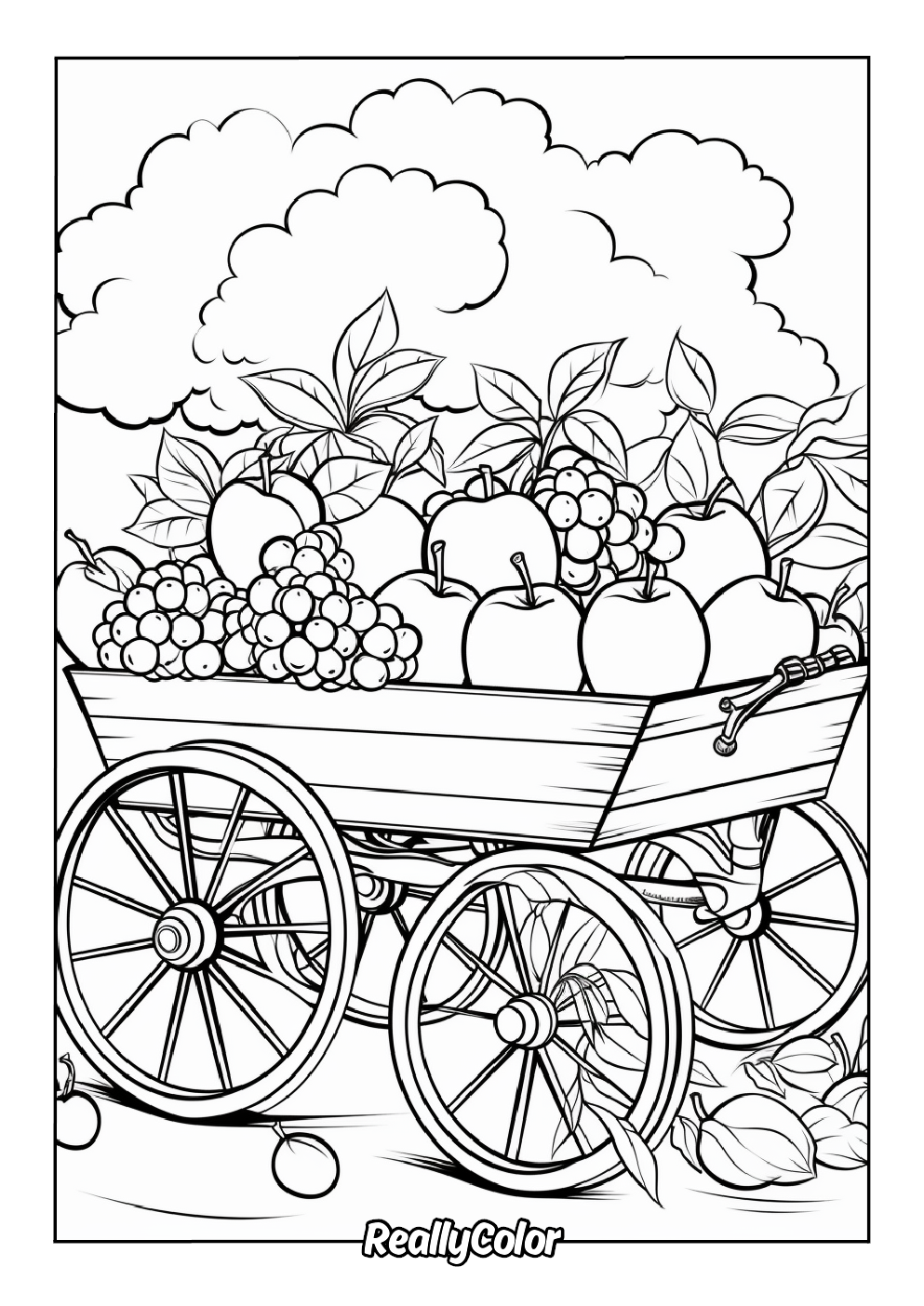 Fruit stand coloring page for adults