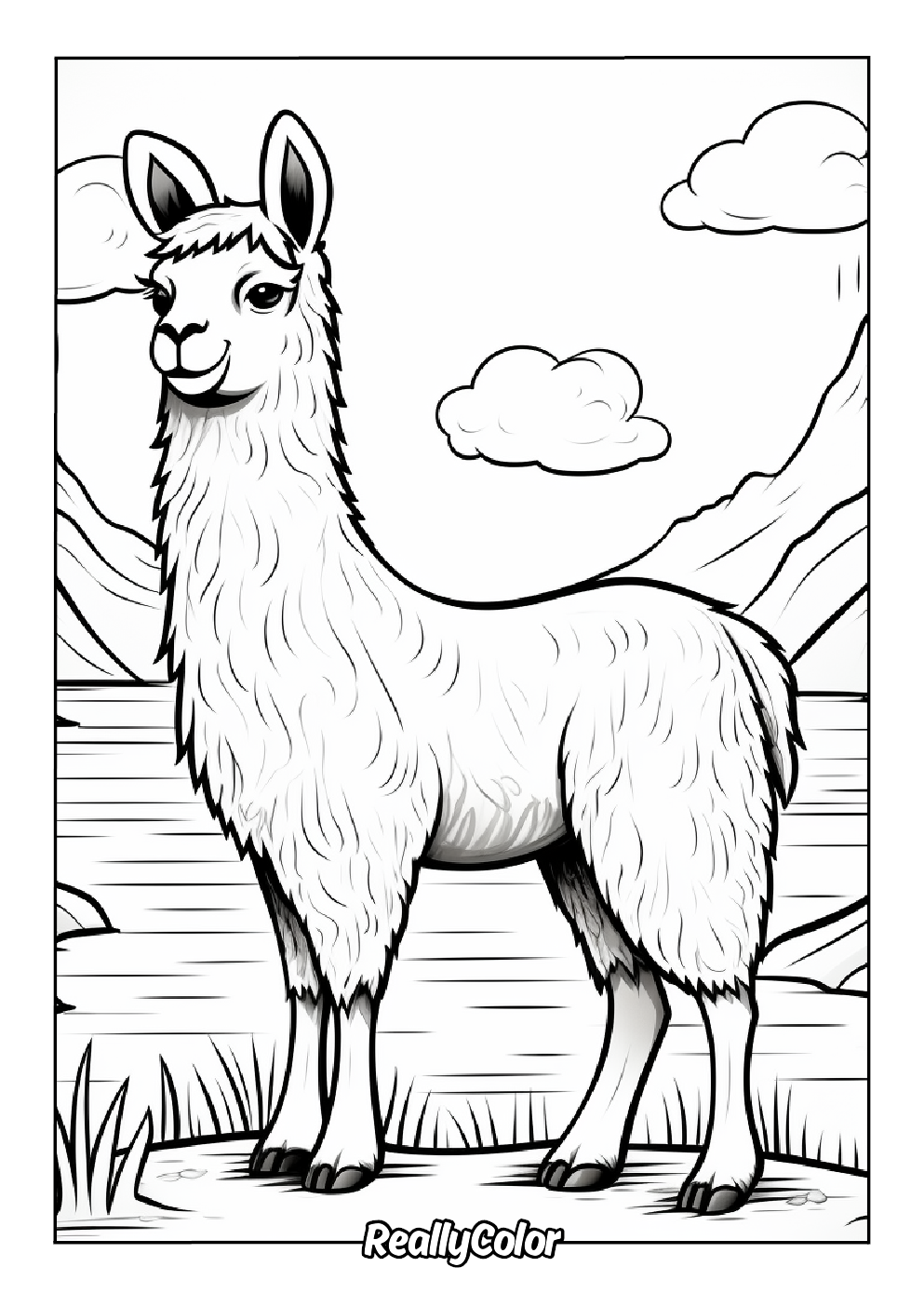 Fun alpaca color page