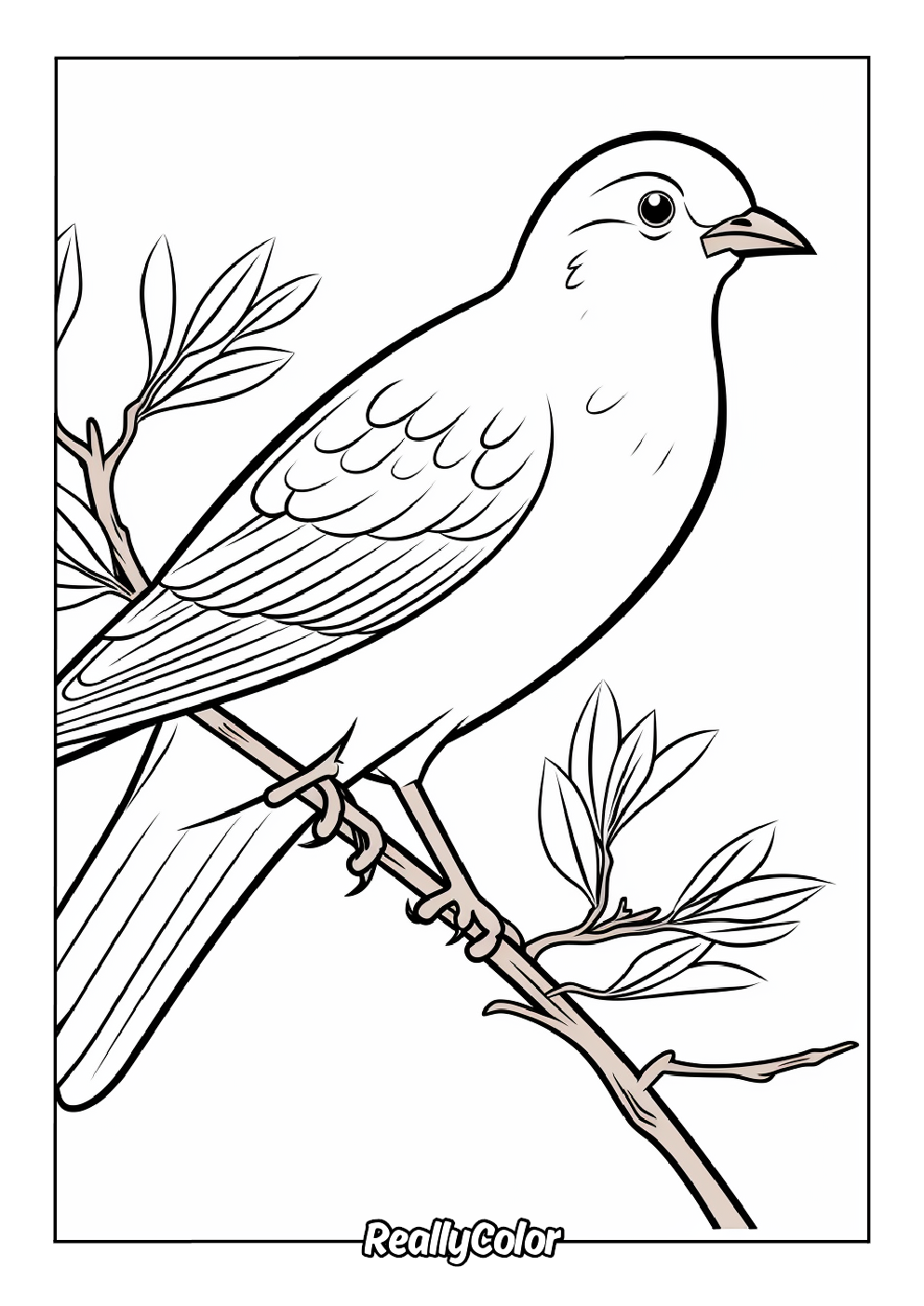 Fun bird coloring book page