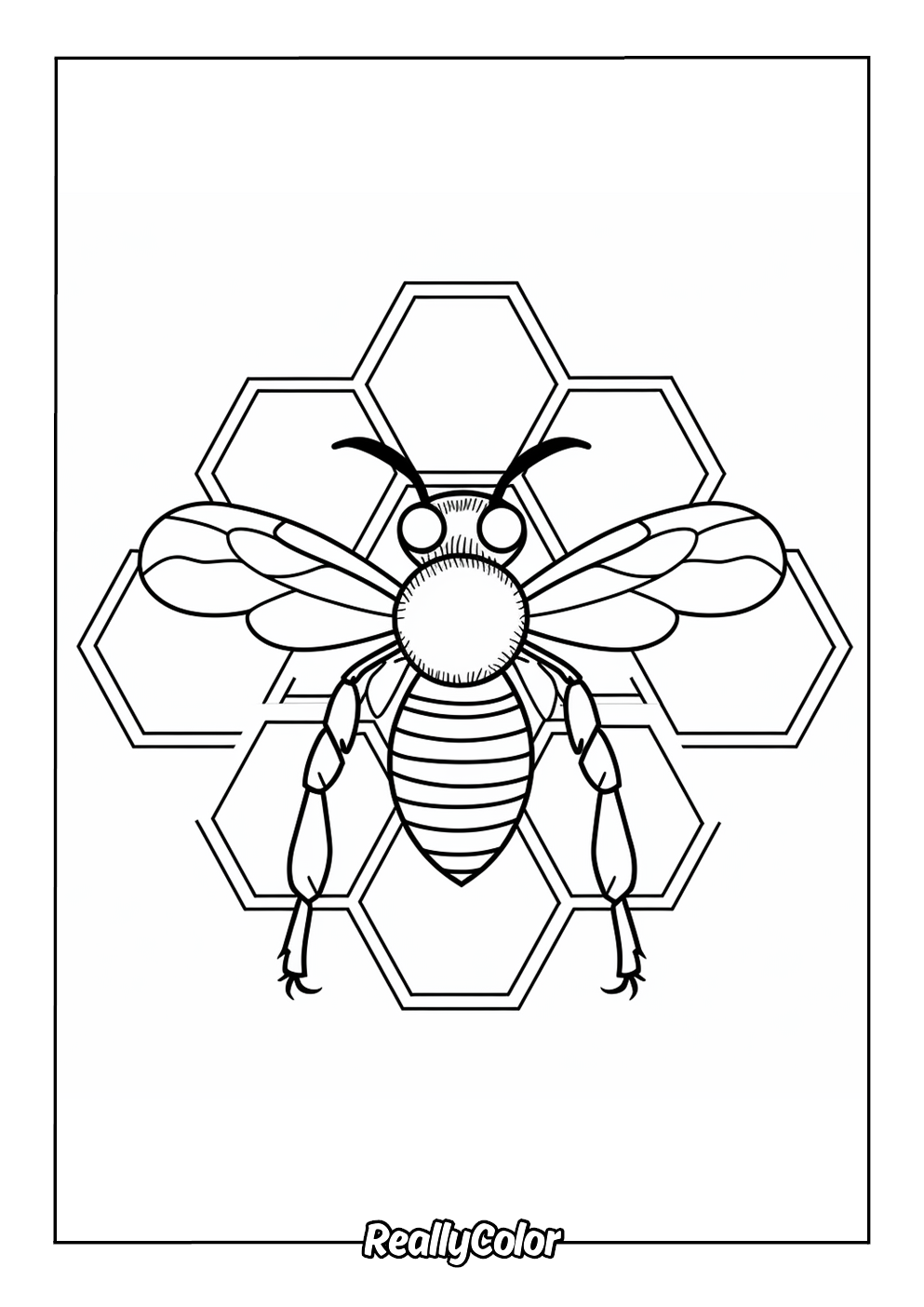 Fun coloring page of a bee