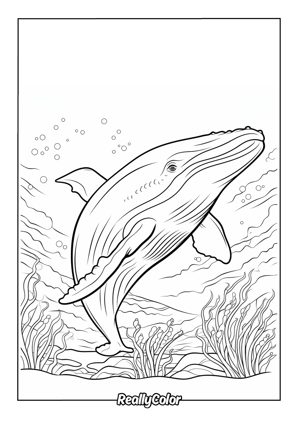 Fun coloring page of a blue whale