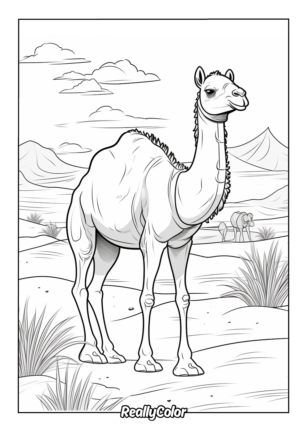 Fun coloring page of a cartoon camel