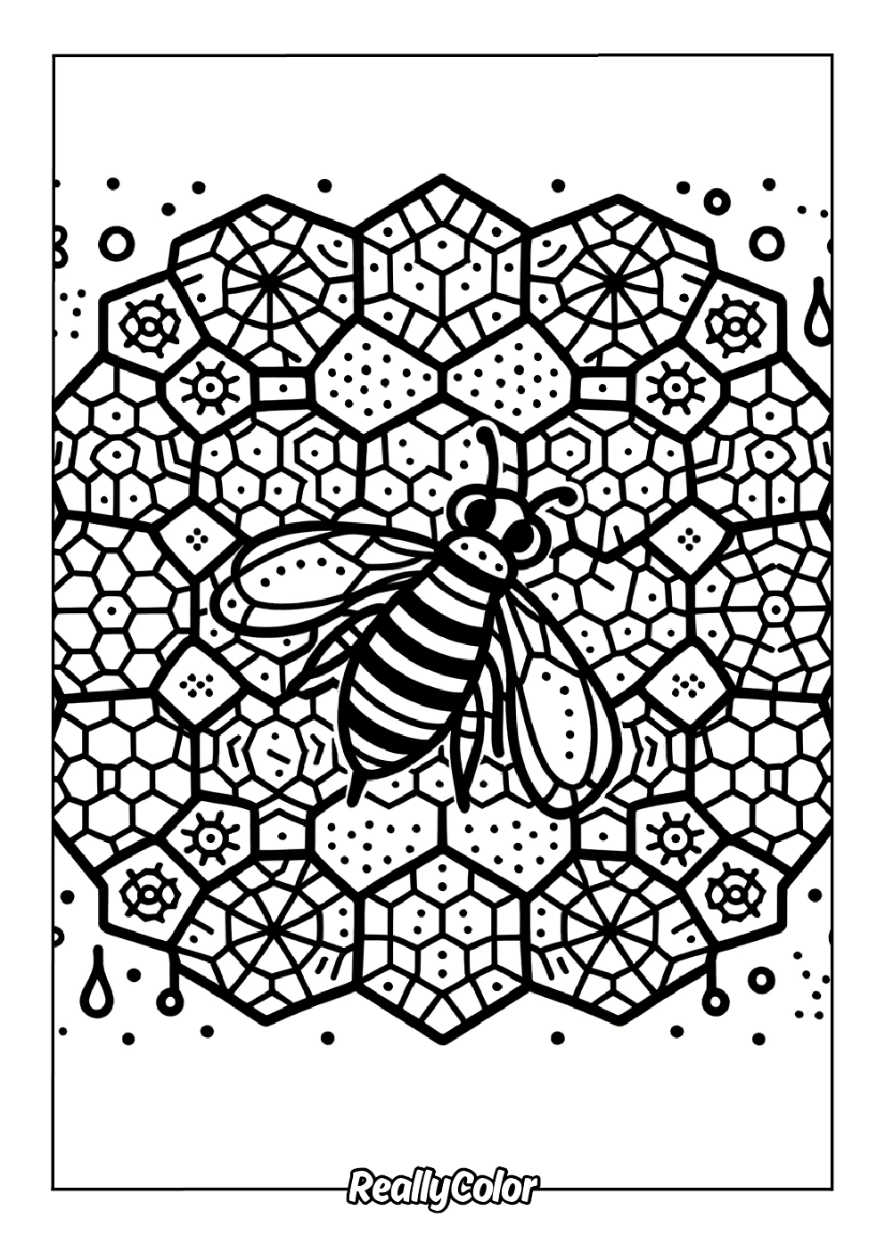 Fun coloring page of a honeycomb